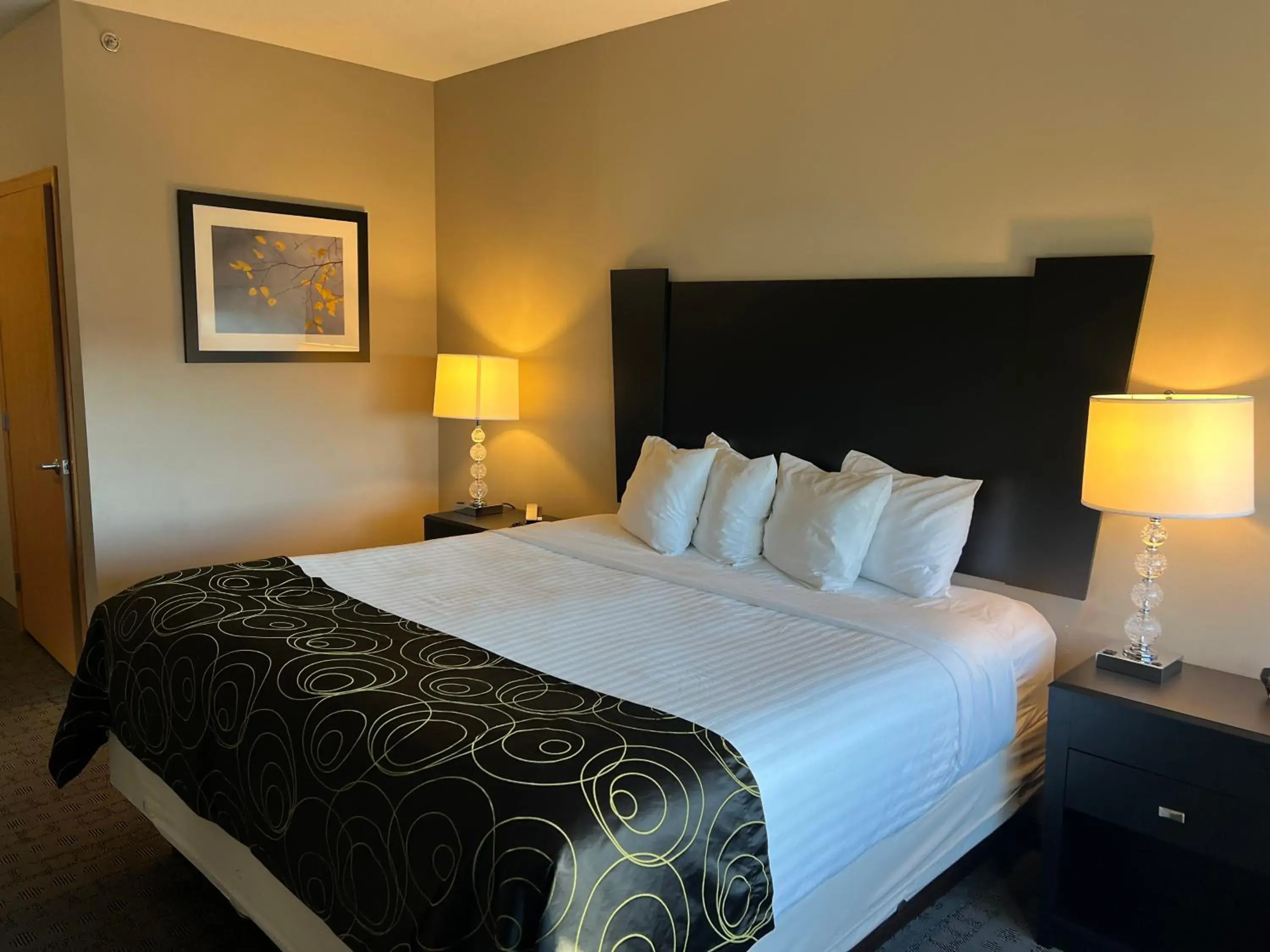 King Room - single occupancy in Okoboji Inn & Suites King Room - single occupancy in Okoboji Inn & Suites