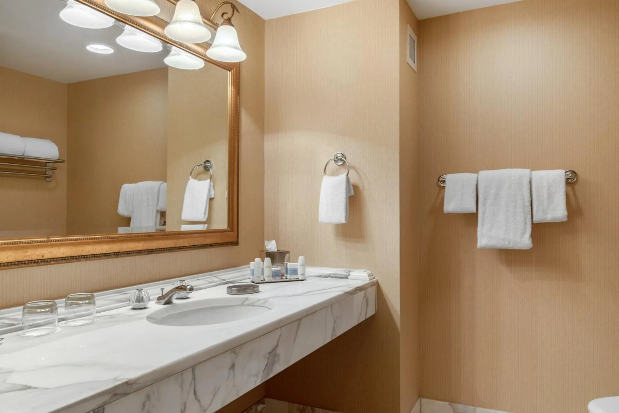 Bathroom in Omni Las Colinas Hotel