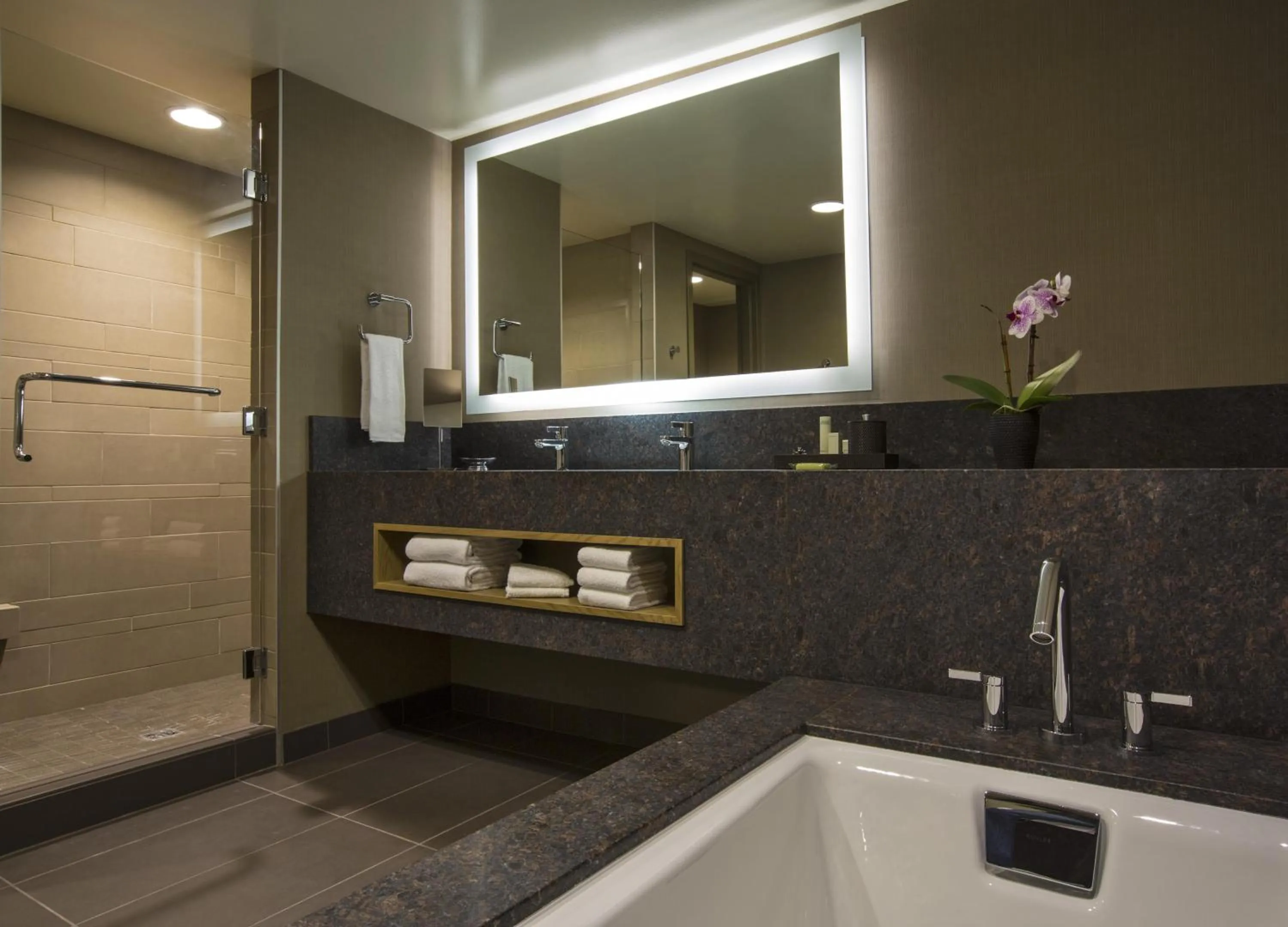 Bathroom in Hyatt Regency Lake Tahoe Resort, Spa & Casino