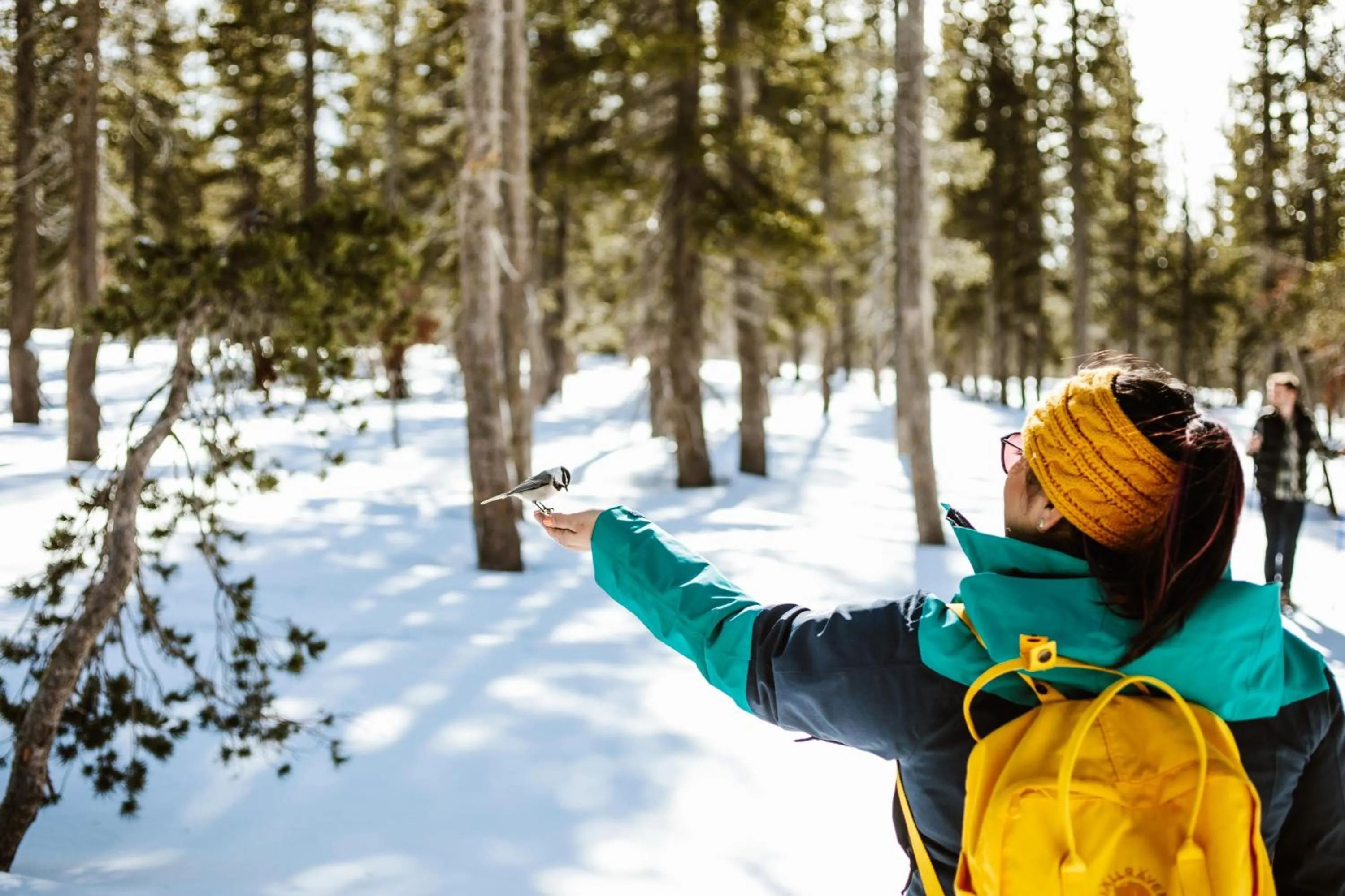 Location in Hyatt Regency Lake Tahoe Resort, Spa & Casino