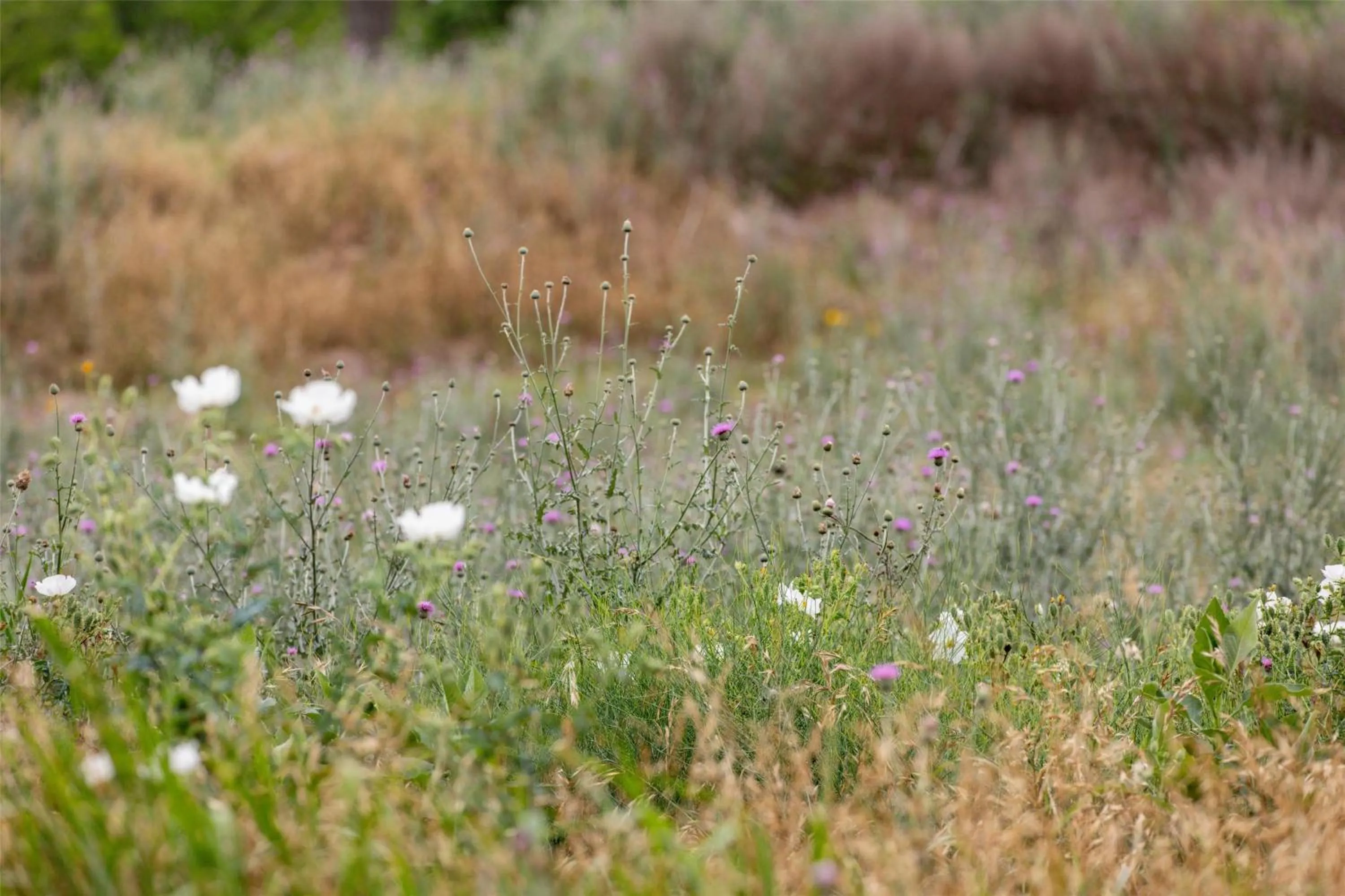 Fitness centre/facilities in Hyatt Regency Lost Pines Resort and Spa