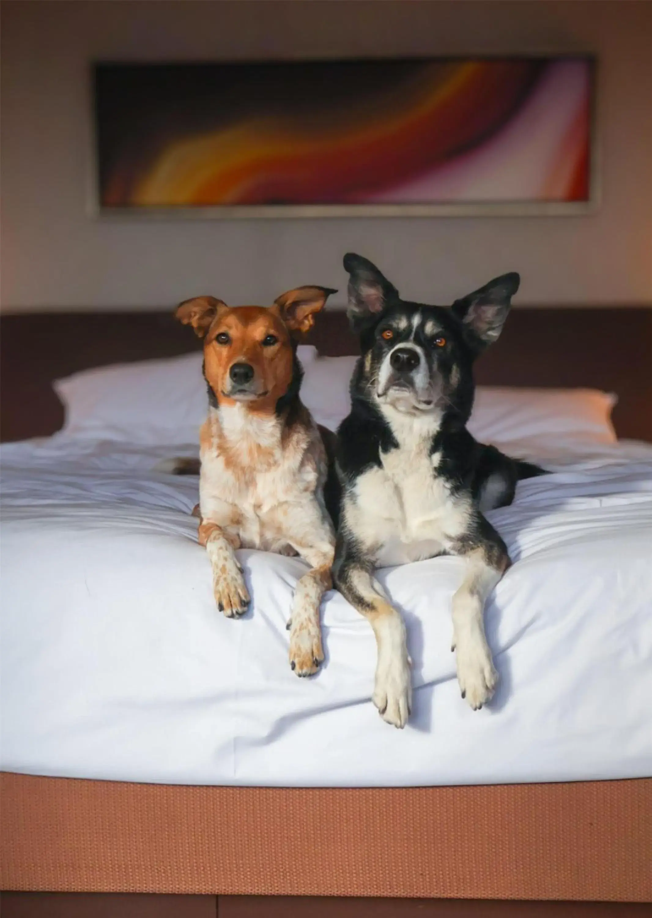 Bedroom in Grand Hyatt Denver Bedroom in Grand Hyatt Denver