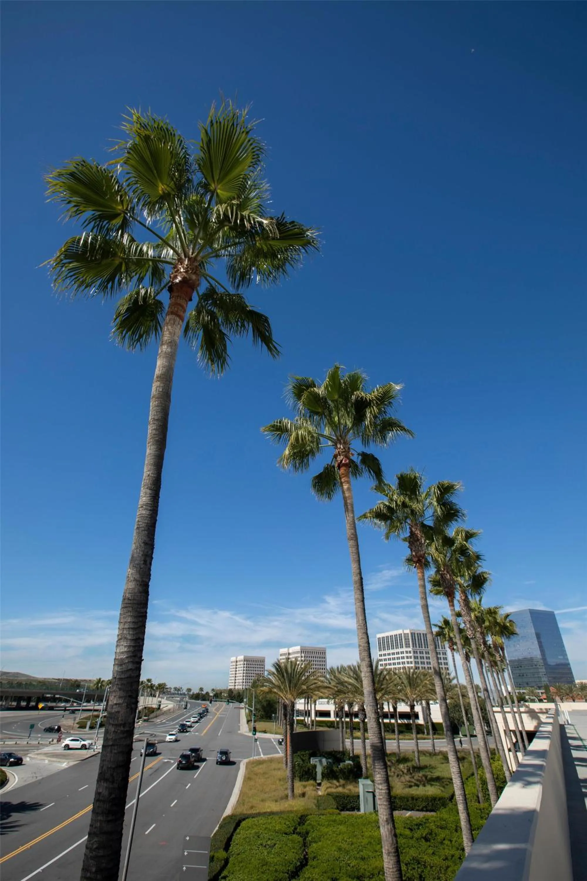 Location in Hyatt Regency Irvine