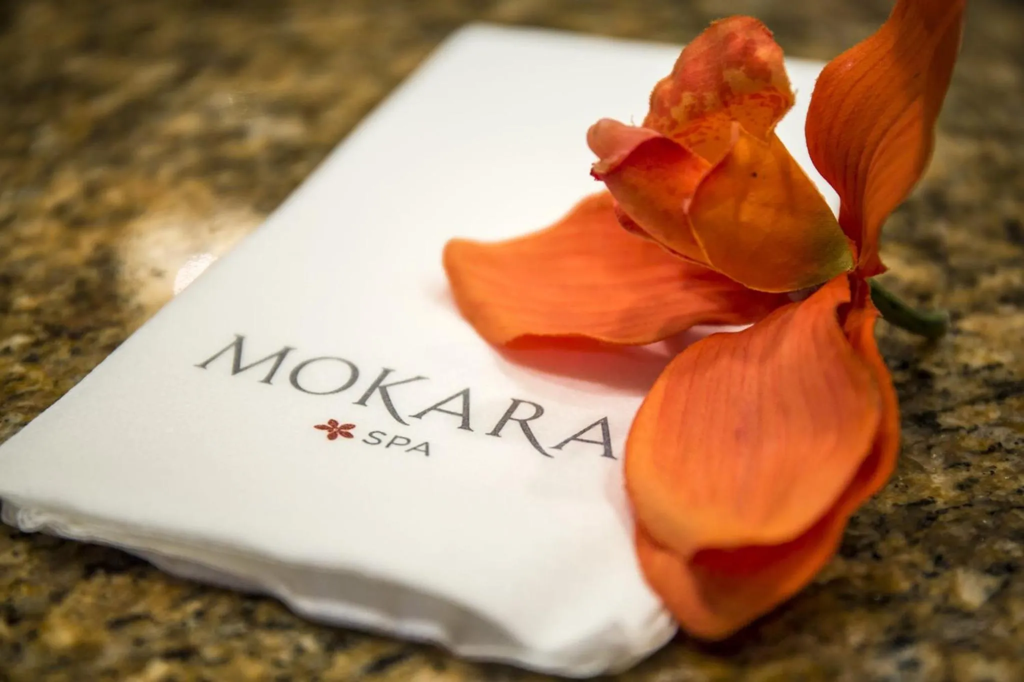 Spa and wellness centre/facilities in Omni Orlando Resort at Championsgate