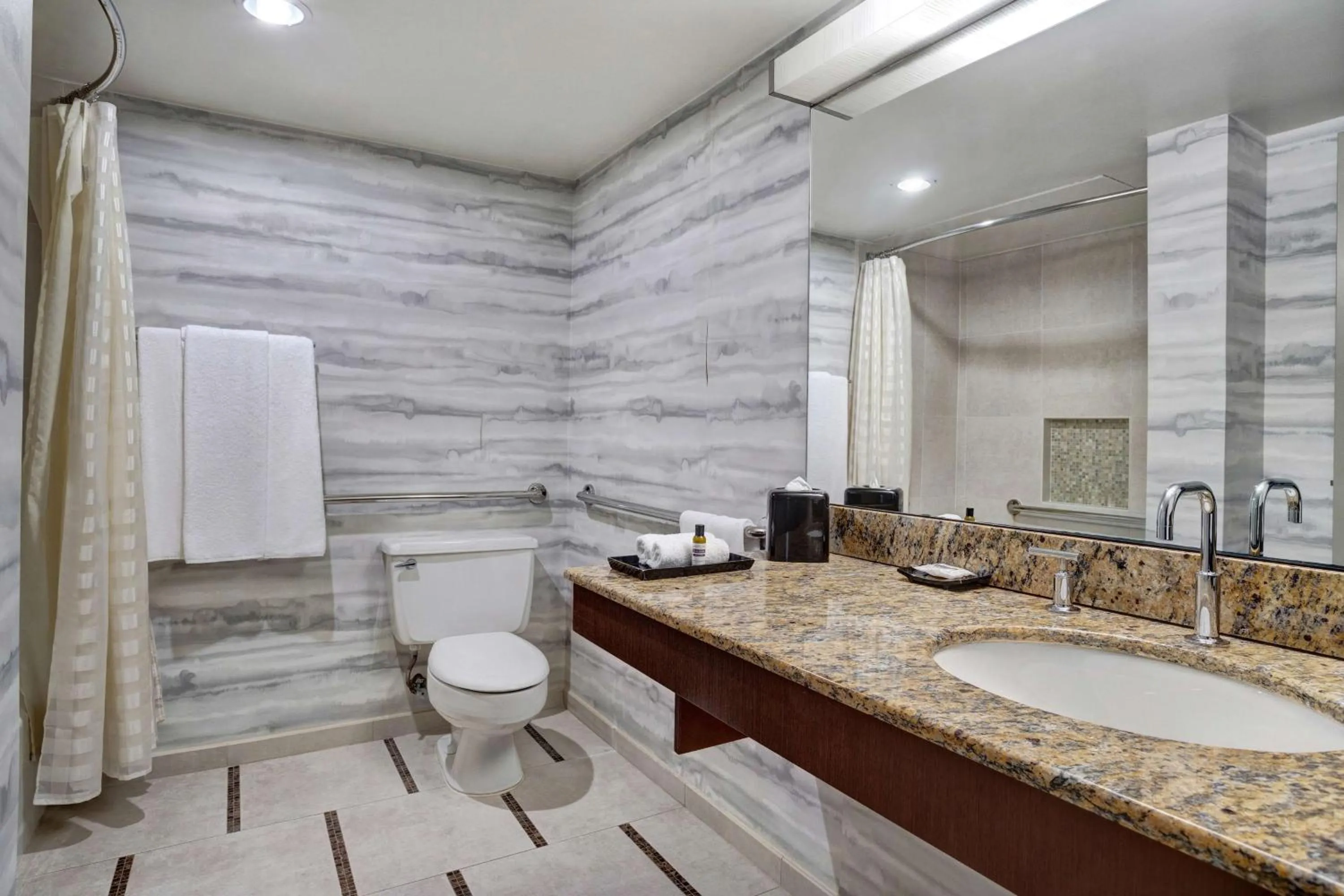 Toilet in Hyatt Regency DFW International Airport