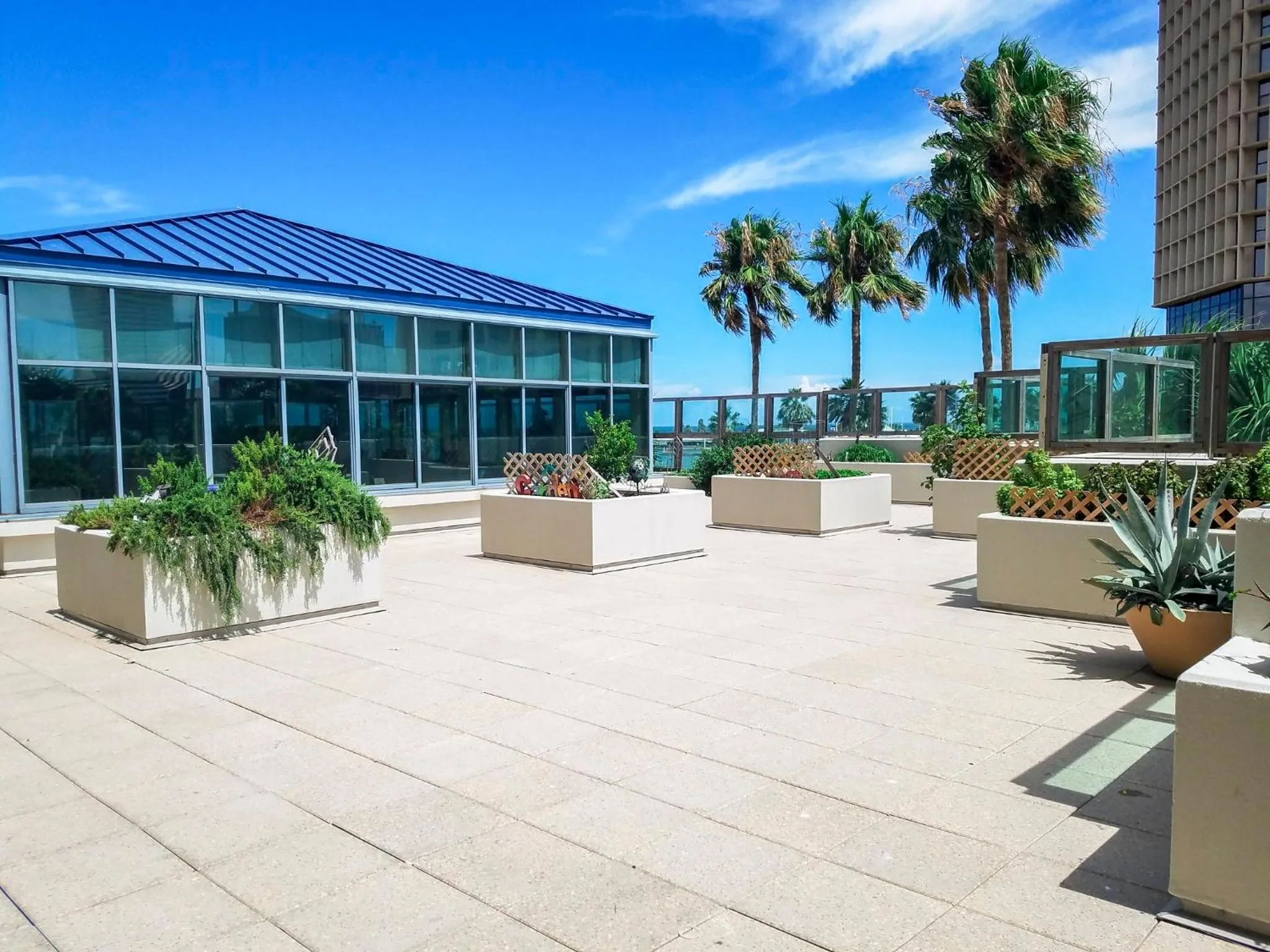 Property building in Omni Corpus Christi Hotel