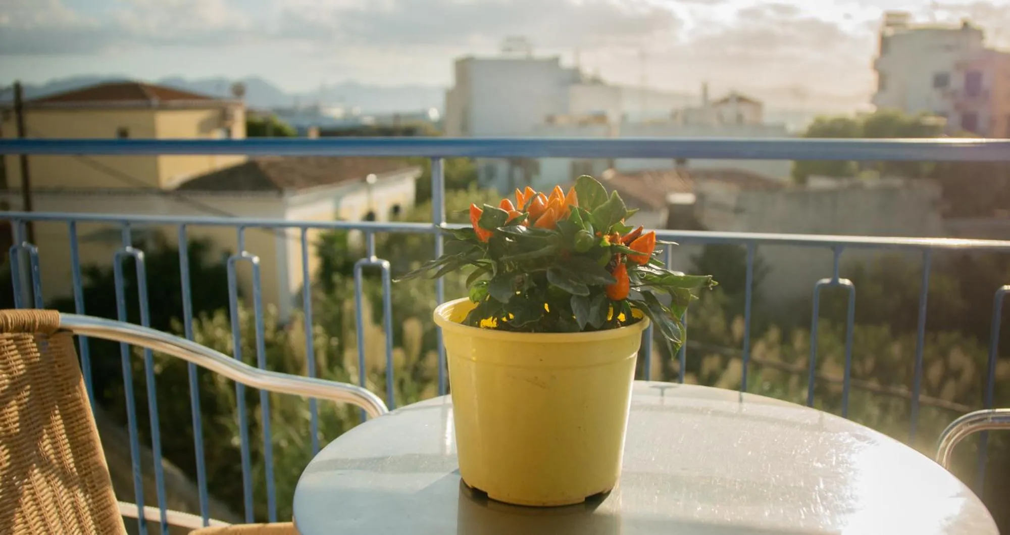 Aphrodite Art Hotel Aegina