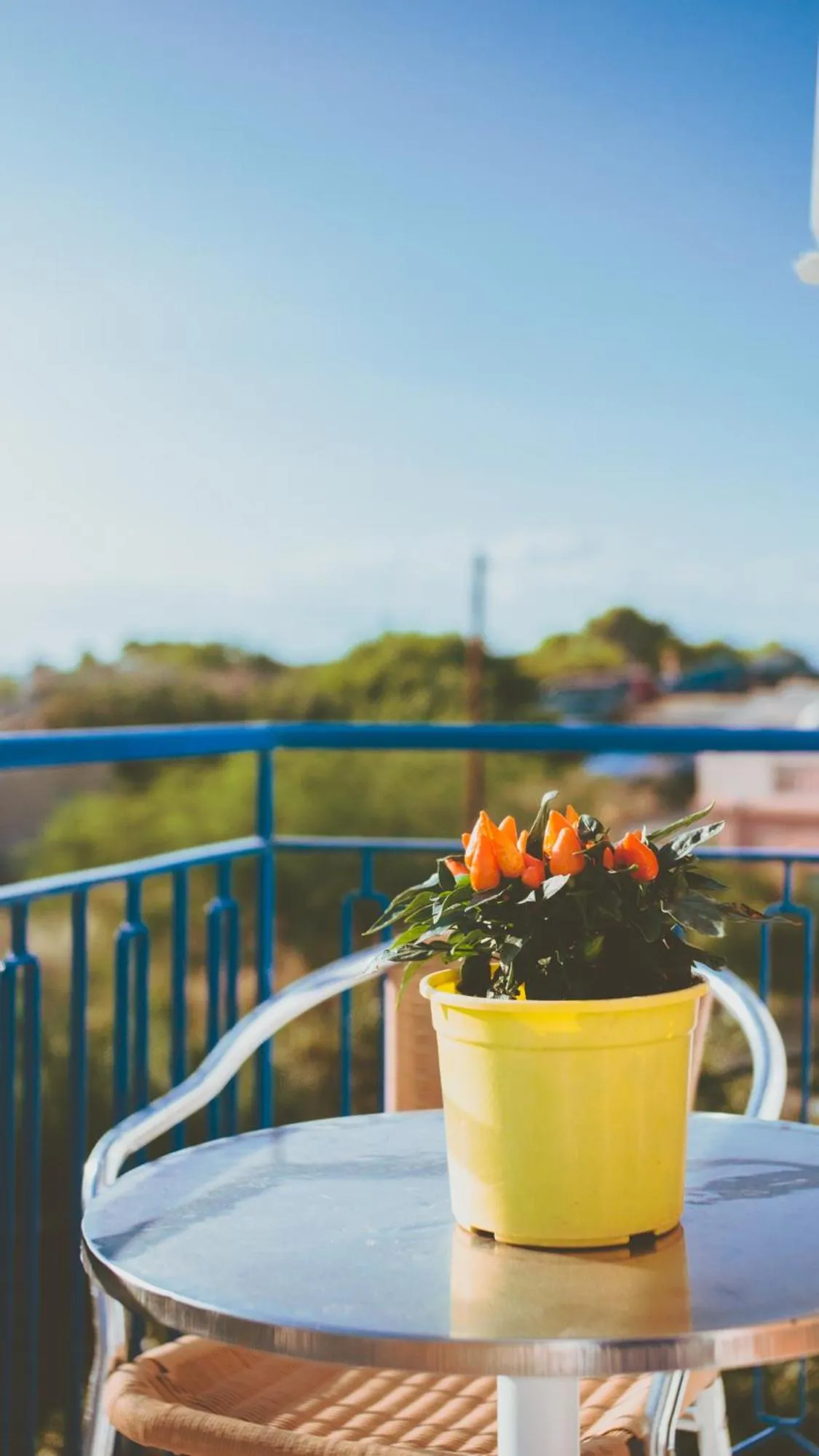 Aphrodite Art Hotel Aegina