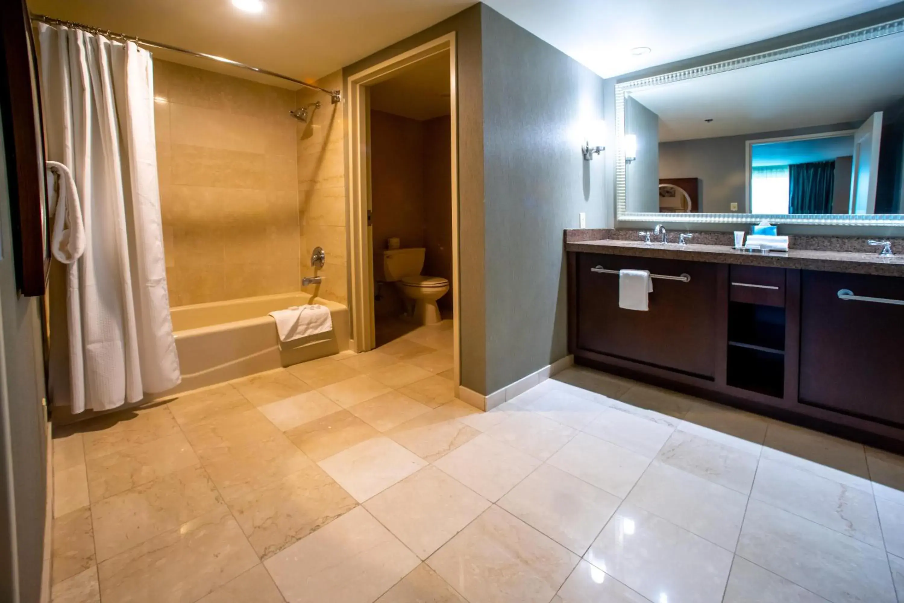 Bathroom in Gold Strike Casino Resort Bathroom in Gold Strike Casino Resort