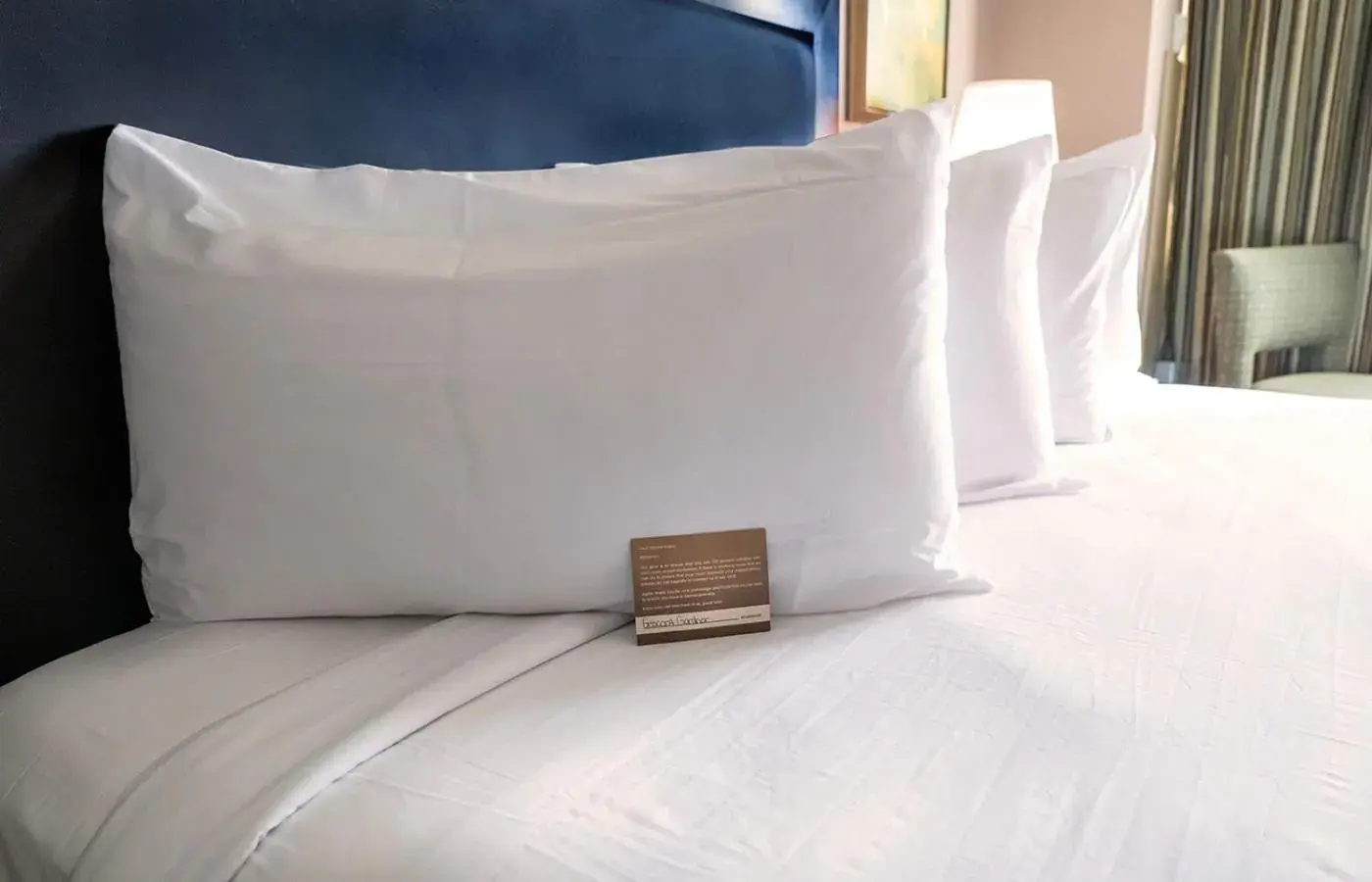 King Room - Disability Access in Gold Strike Casino Resort King Room - Disability Access in Gold Strike Casino Resort