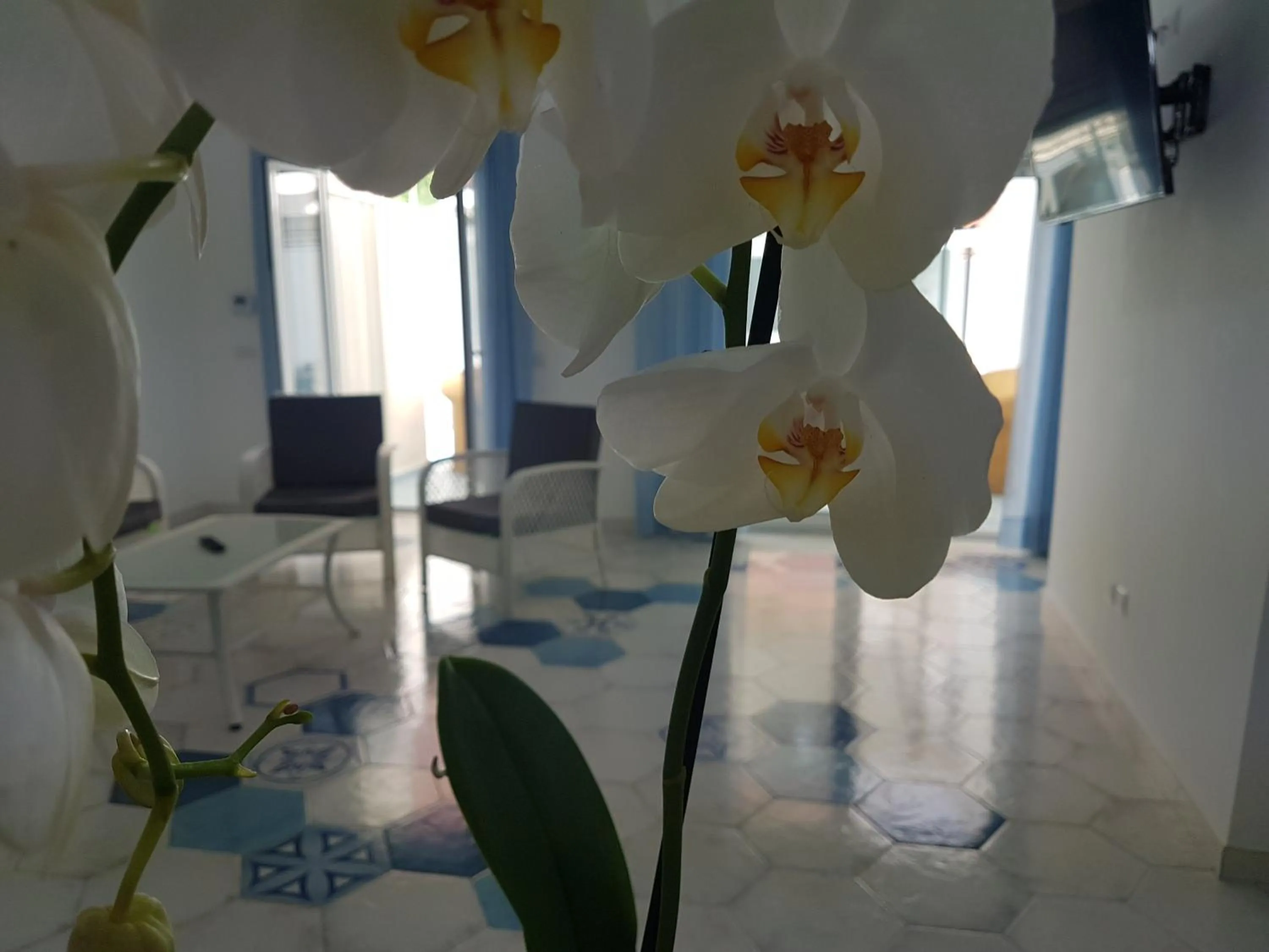 Communal lounge/ TV room in I colori del mare