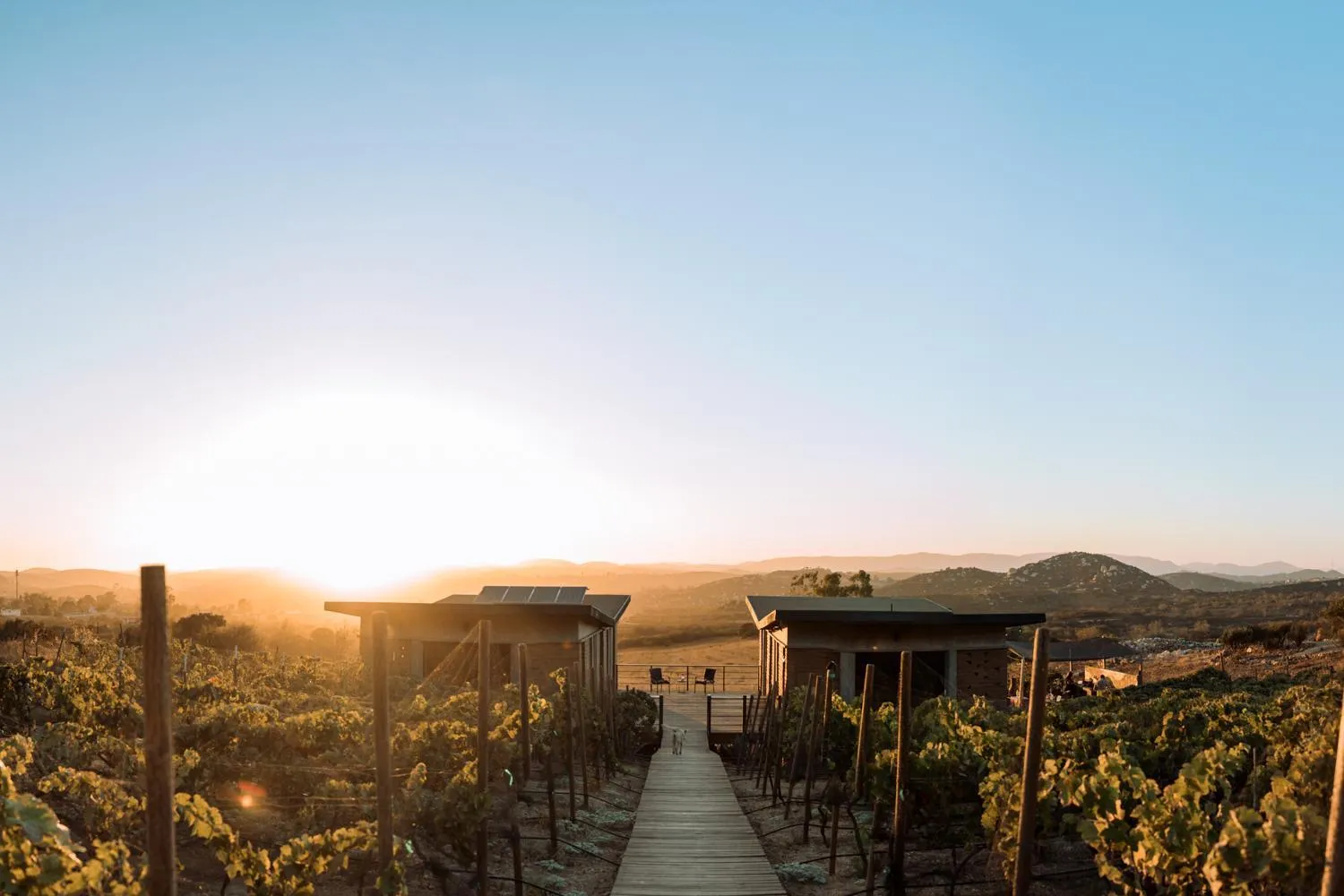 Facade/entrance in UvaUva eco-retreat