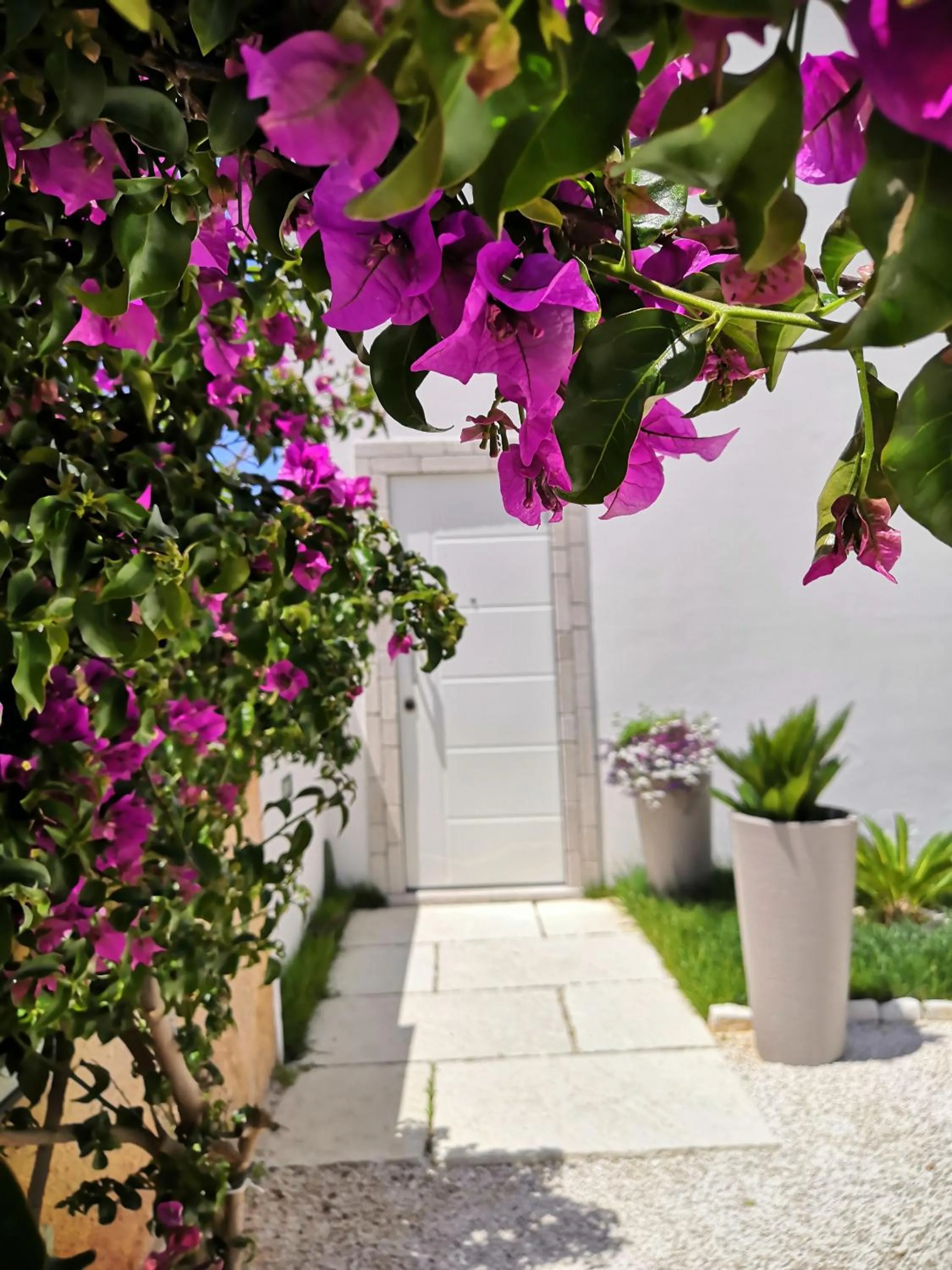 Facade/entrance in Pinulà