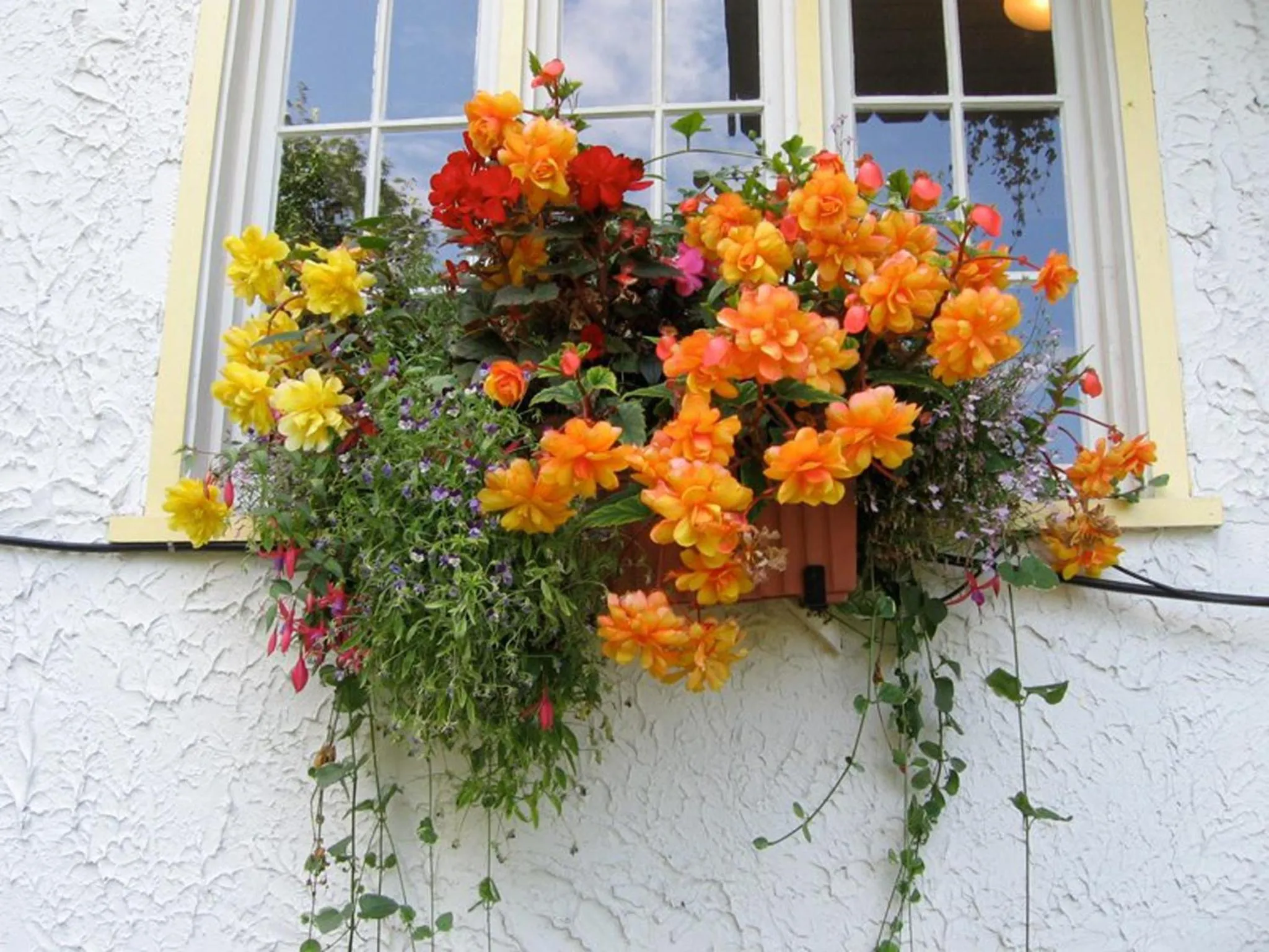 Garden in Northland Lodge