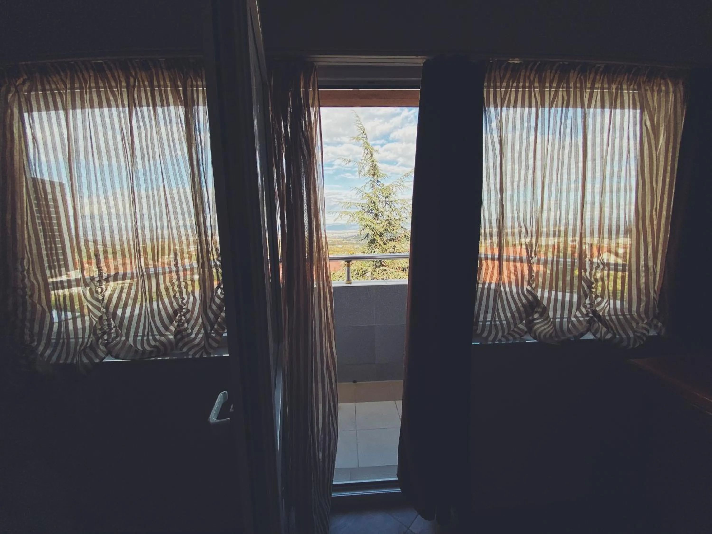 Hotel Fancy