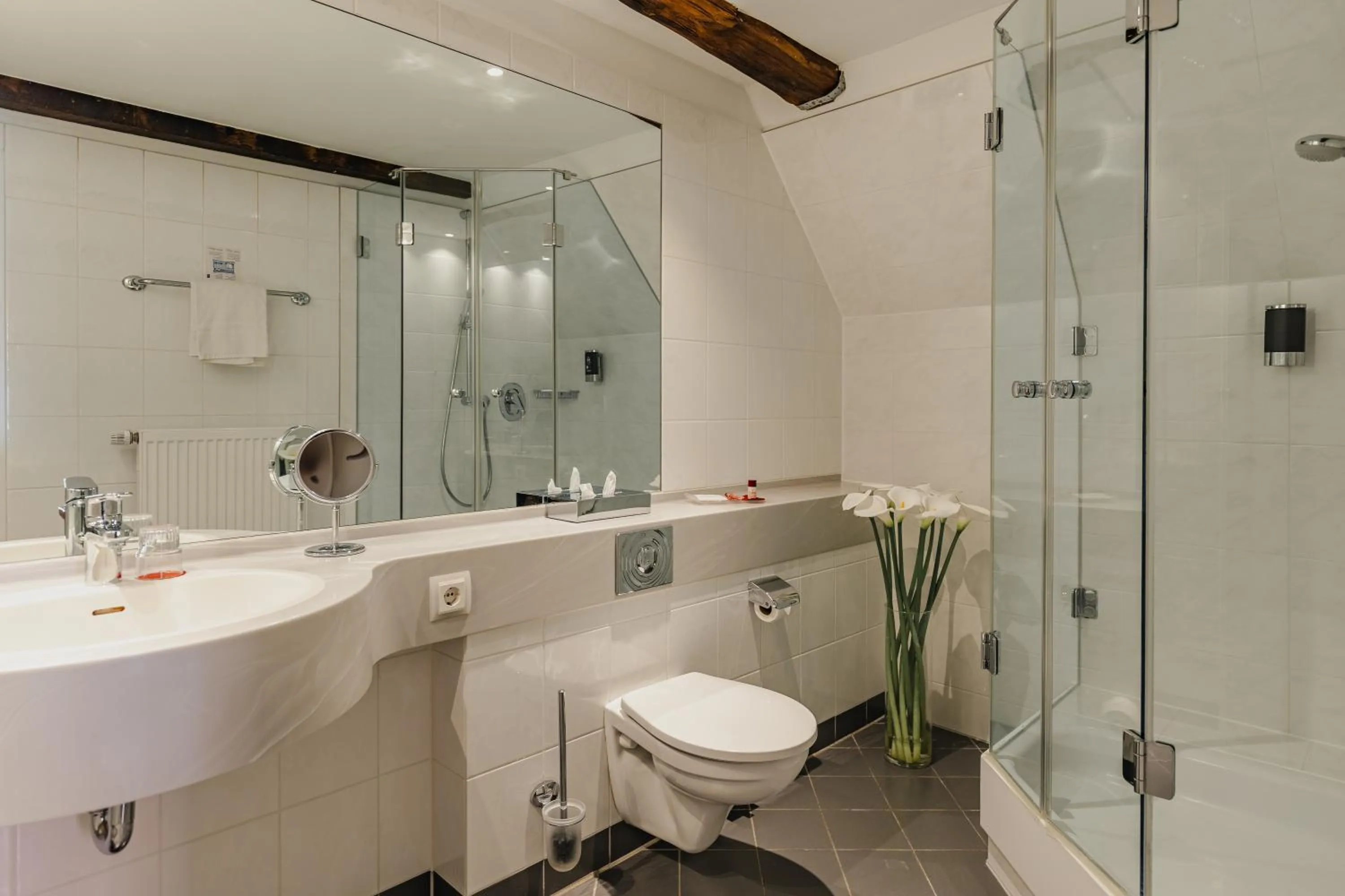 Shower in Hotel zur Fürstabtei