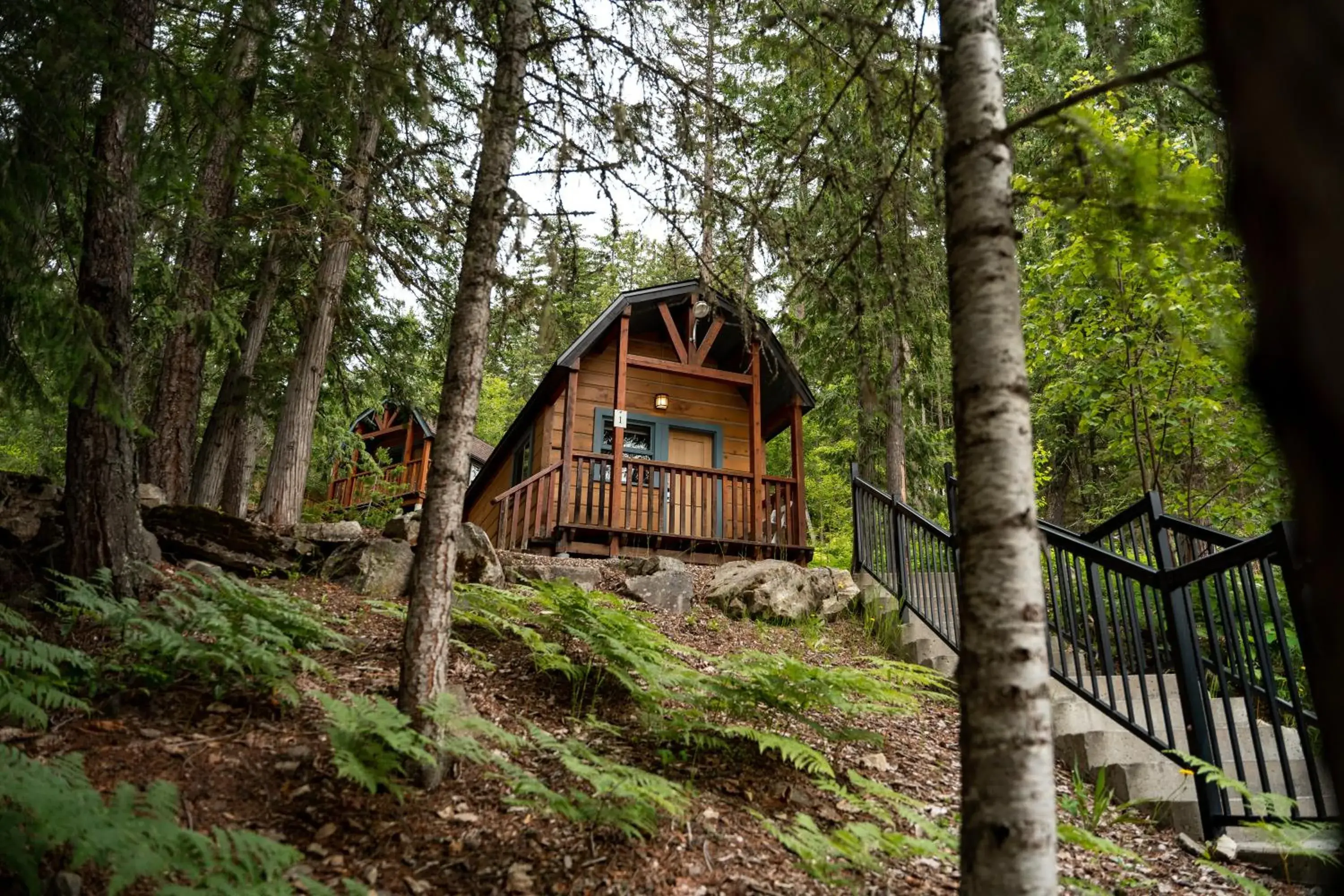 Queen Cabin in Halcyon Hot Springs Resort Queen Cabin in Halcyon Hot Springs Resort