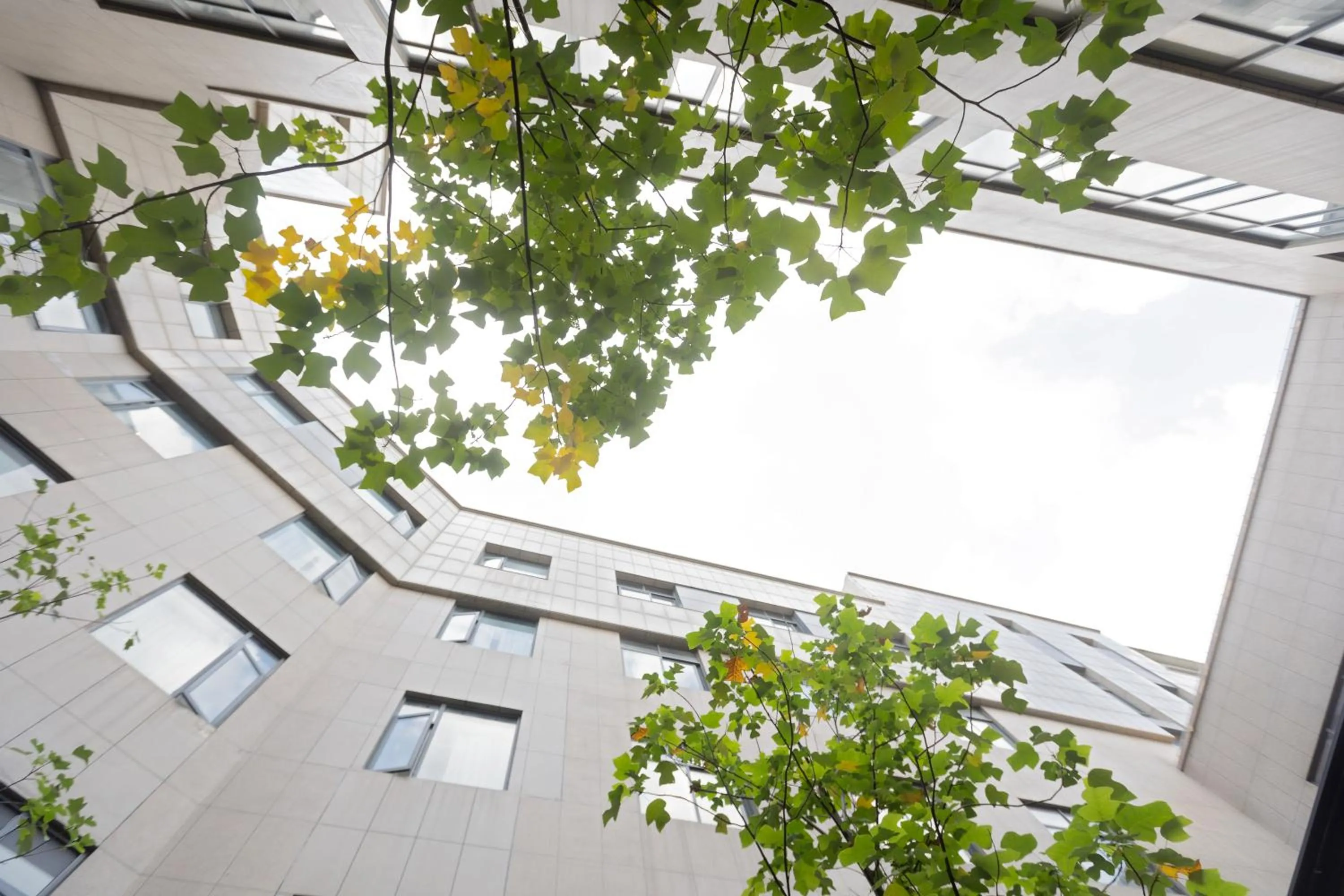 Garden in Atour Hotel Hongqiao Hub National Exhibition Center Shanghai