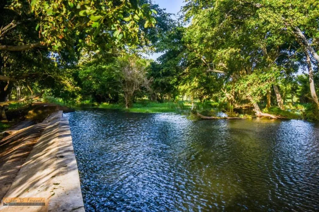 KAYJAY WILD WILPATTU