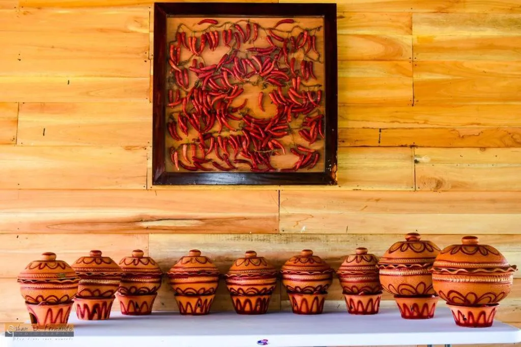 KAYJAY WILD WILPATTU