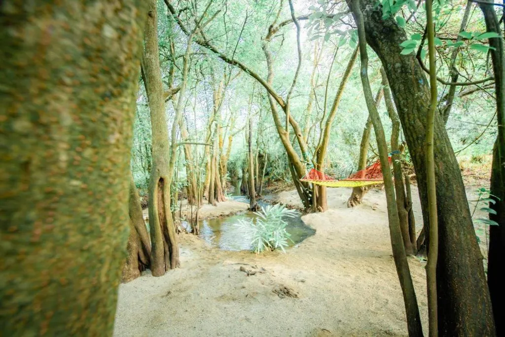 KAYJAY WILD WILPATTU