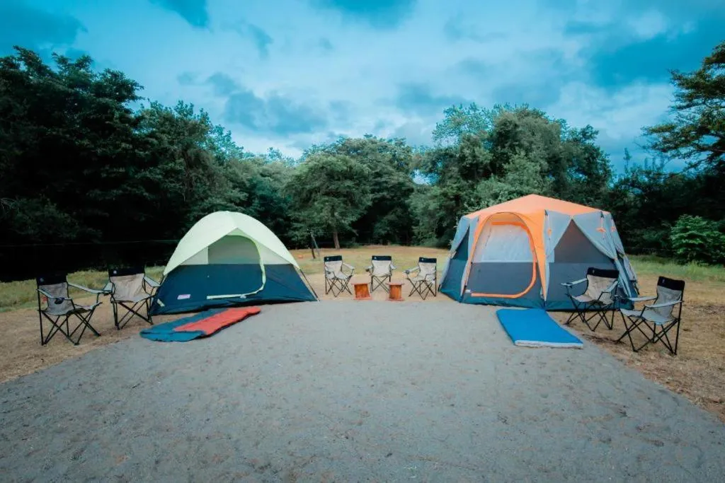 KAYJAY WILD WILPATTU