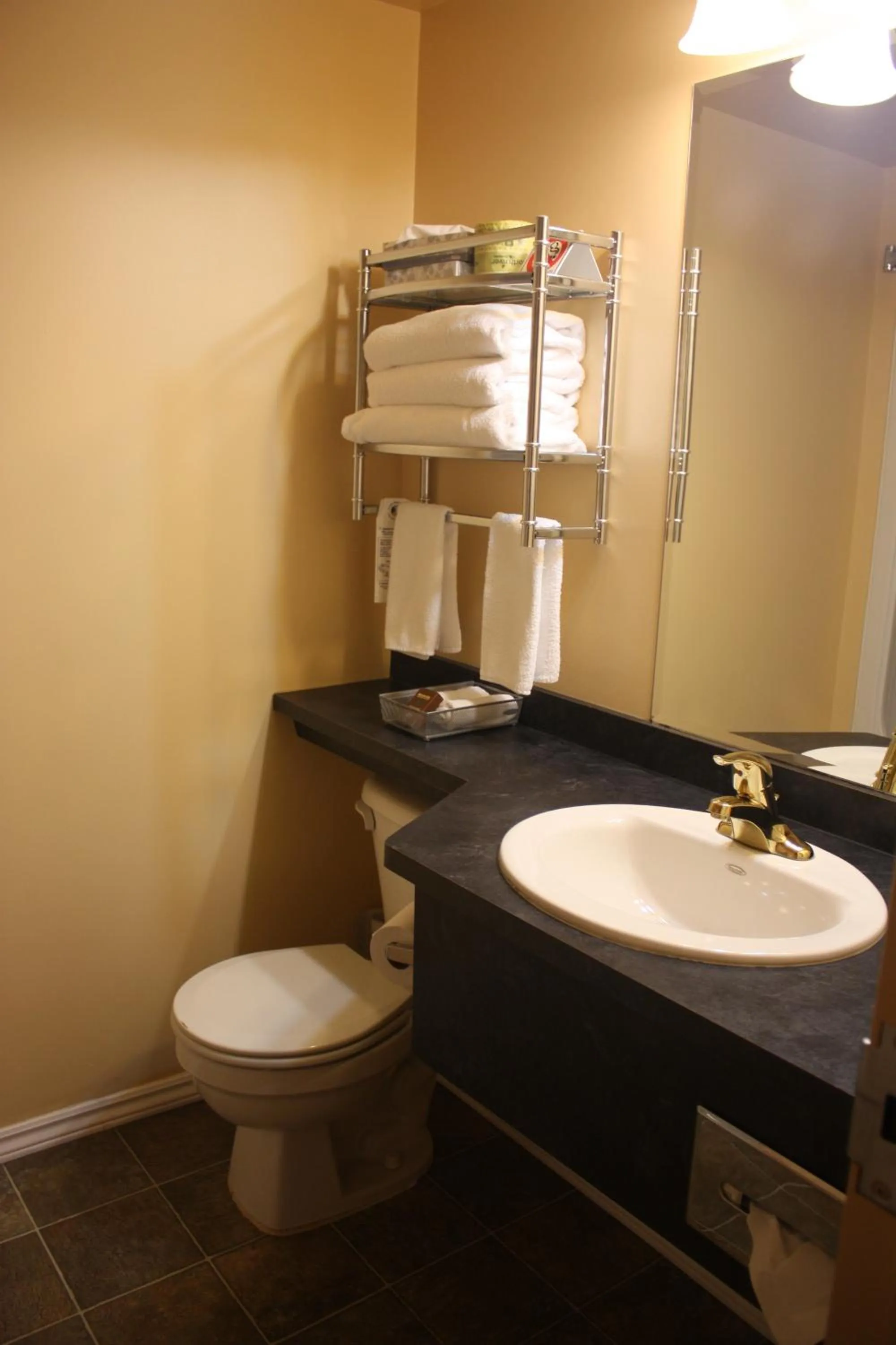 Bathroom in Cedar Meadows Resort & Spa, an Ascend Collection Resort