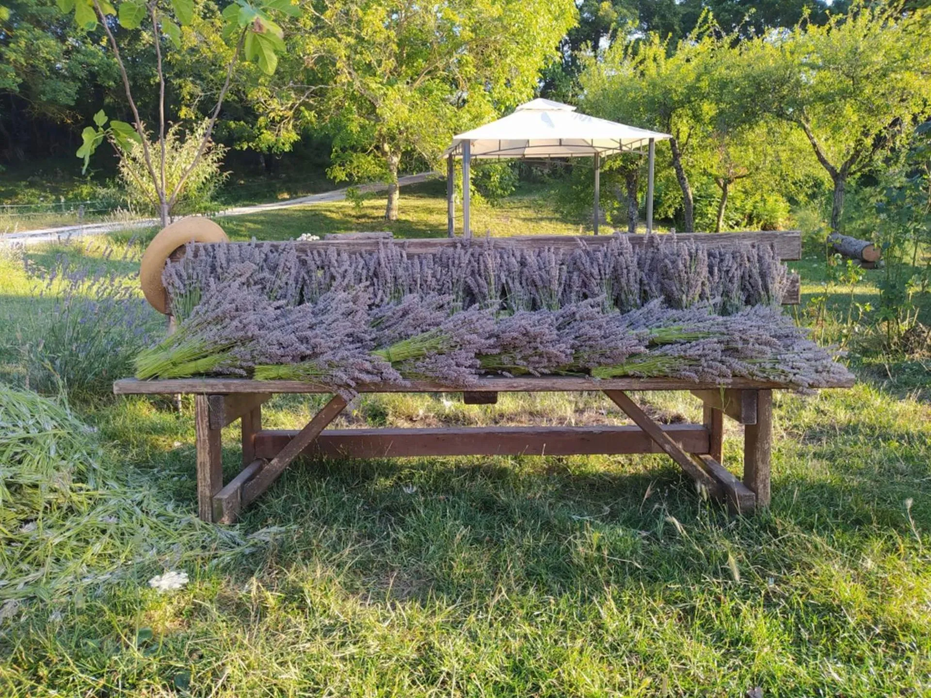 Garden in B&B BOSCOVECCHIO