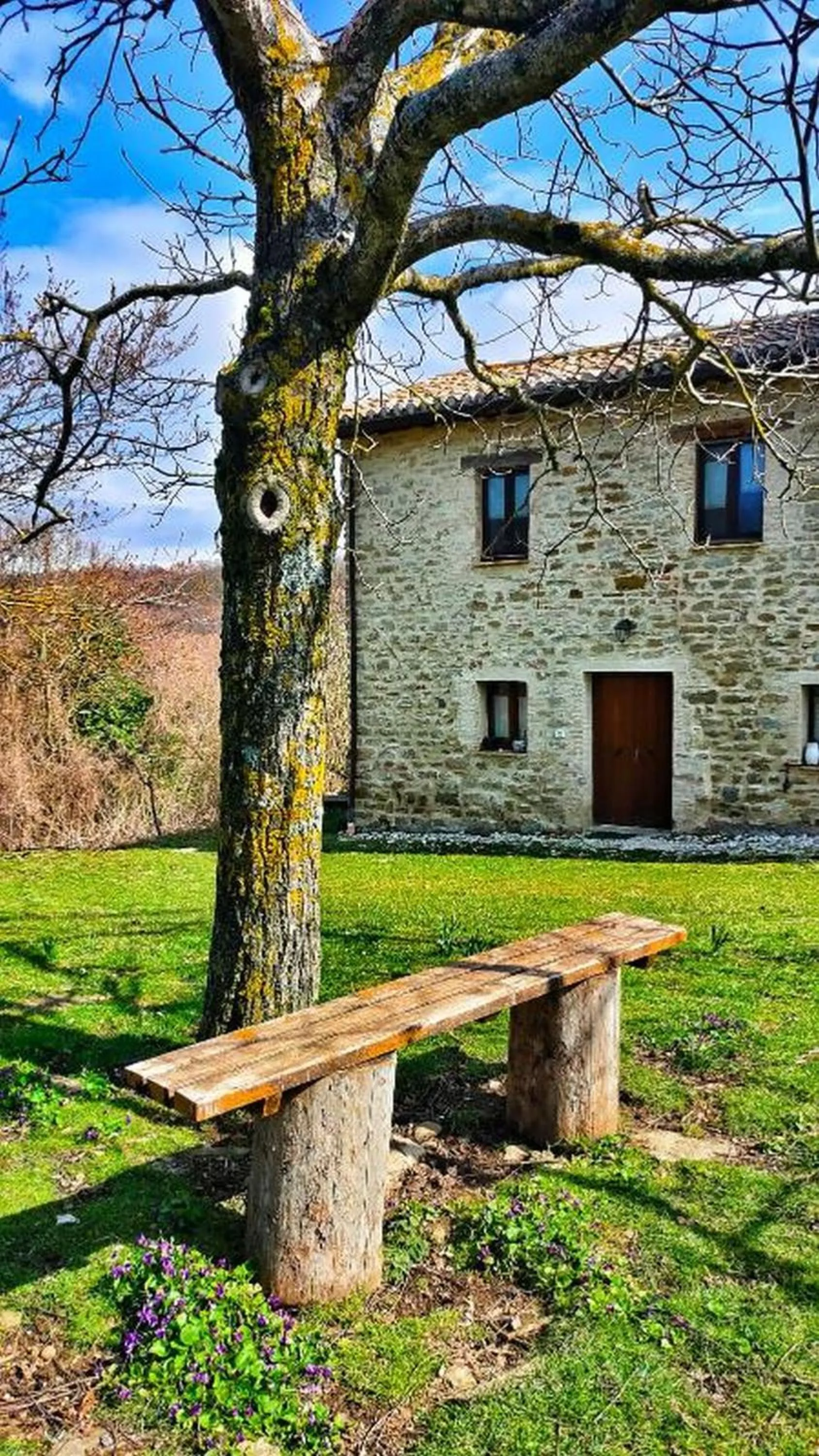 Property building in B&B BOSCOVECCHIO