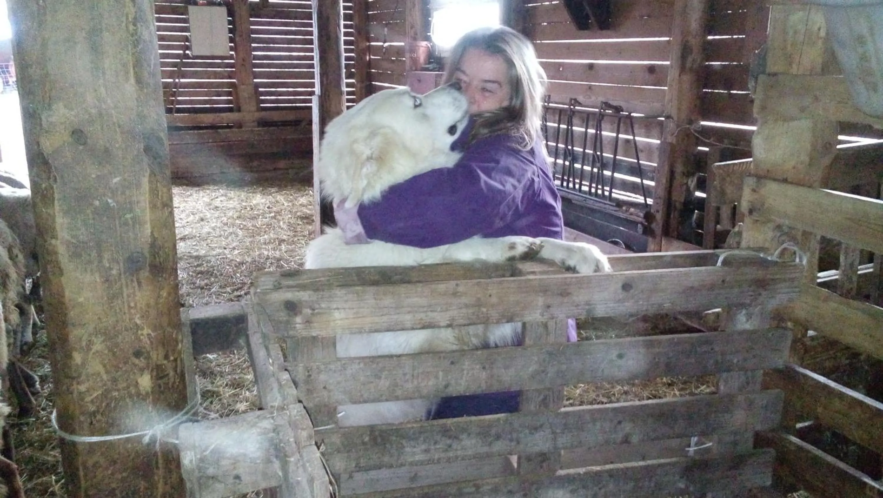 Animals in B&B BOSCOVECCHIO