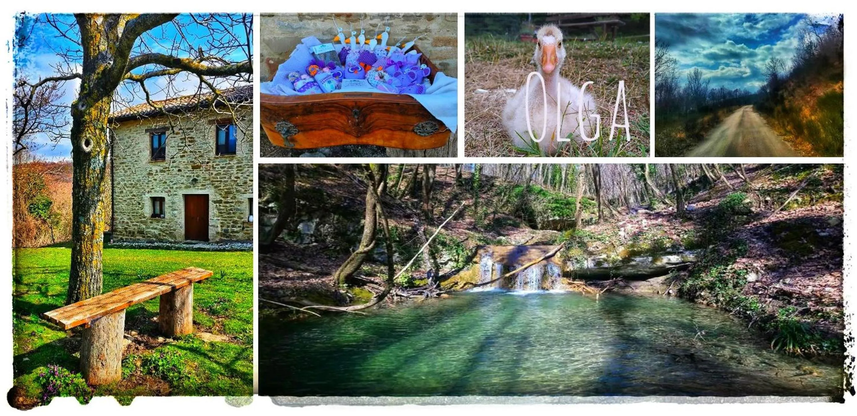 Bird's eye view in B&B BOSCOVECCHIO