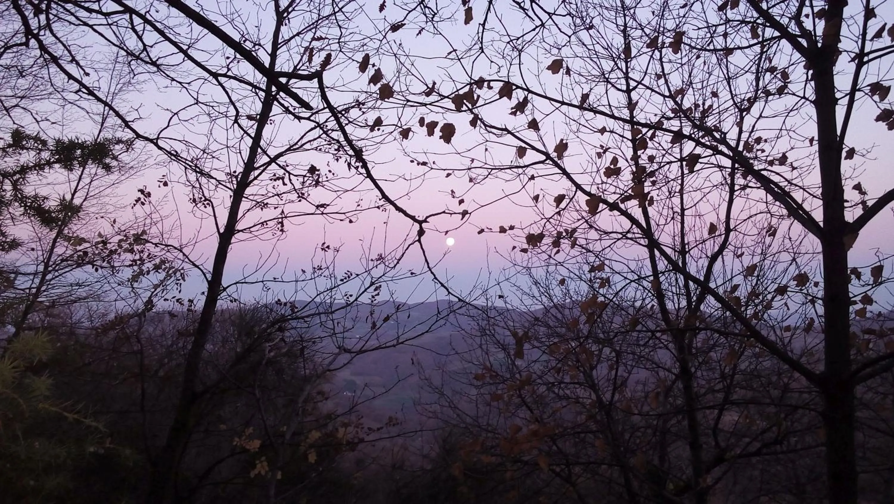 Natural landscape in B&B BOSCOVECCHIO