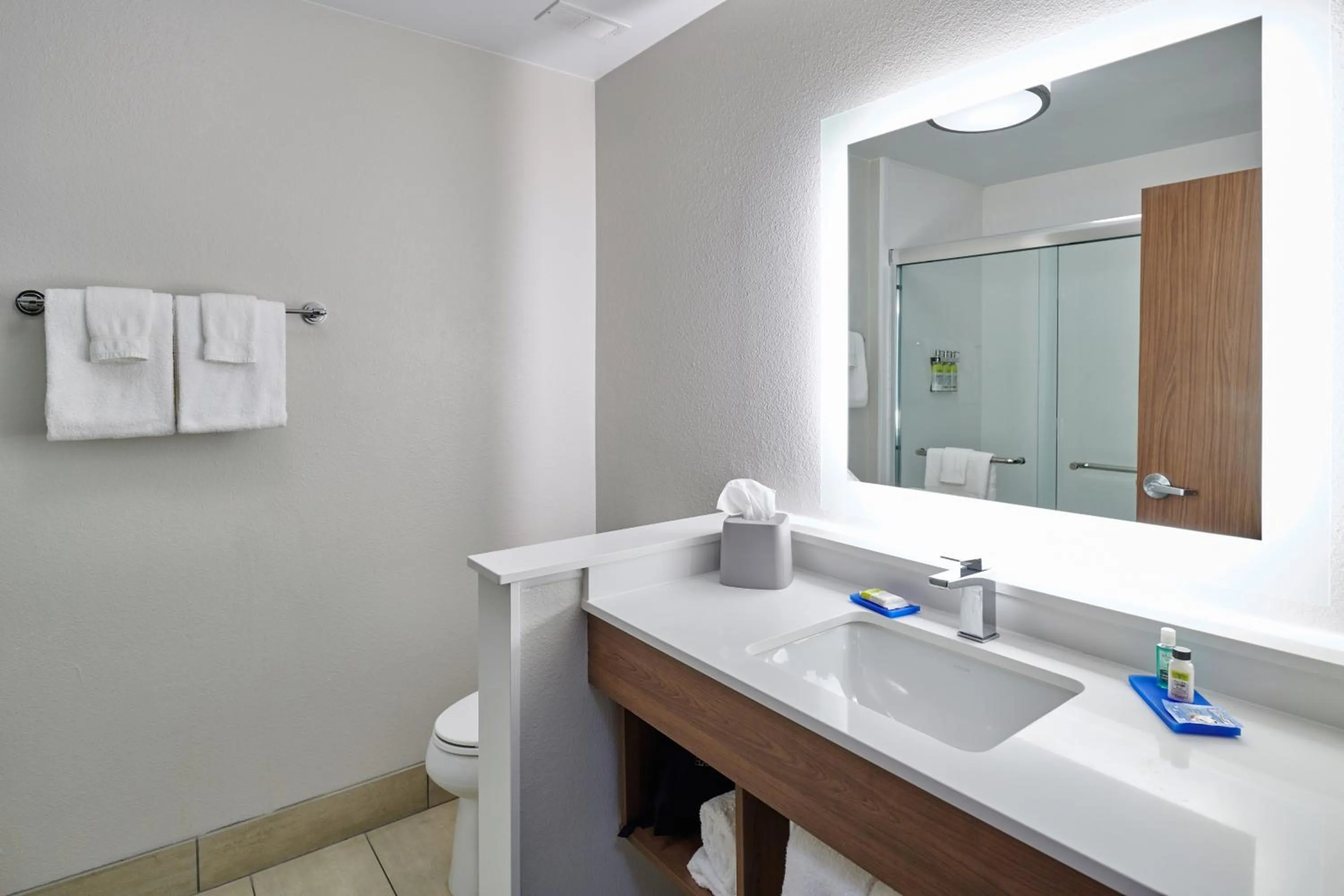 Bathroom in Holiday Inn Express & Suites El Paso - Sunland Park Area by IHG