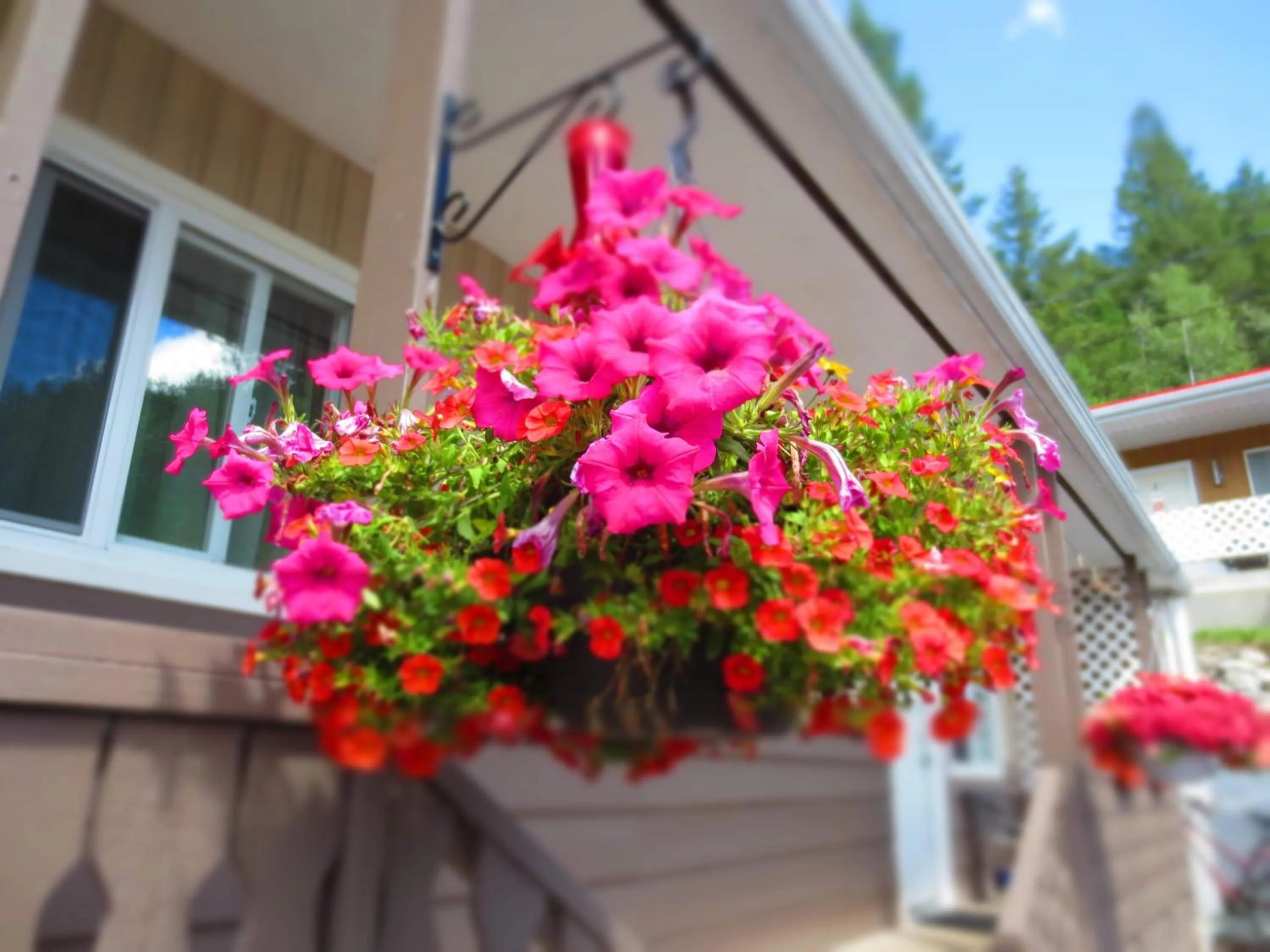 Property building in Crescent Motel