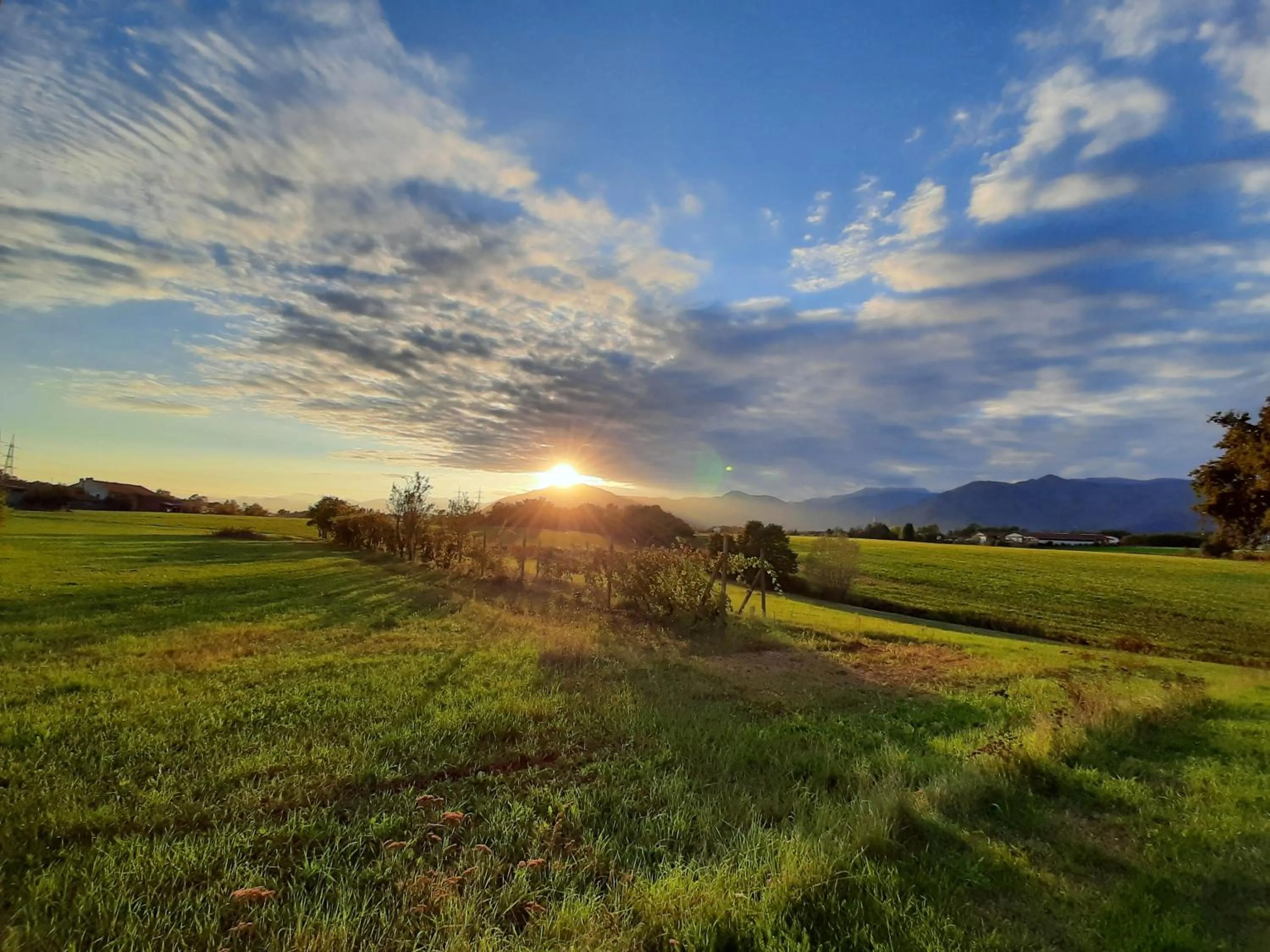 Natural landscape in Cascina Cortese