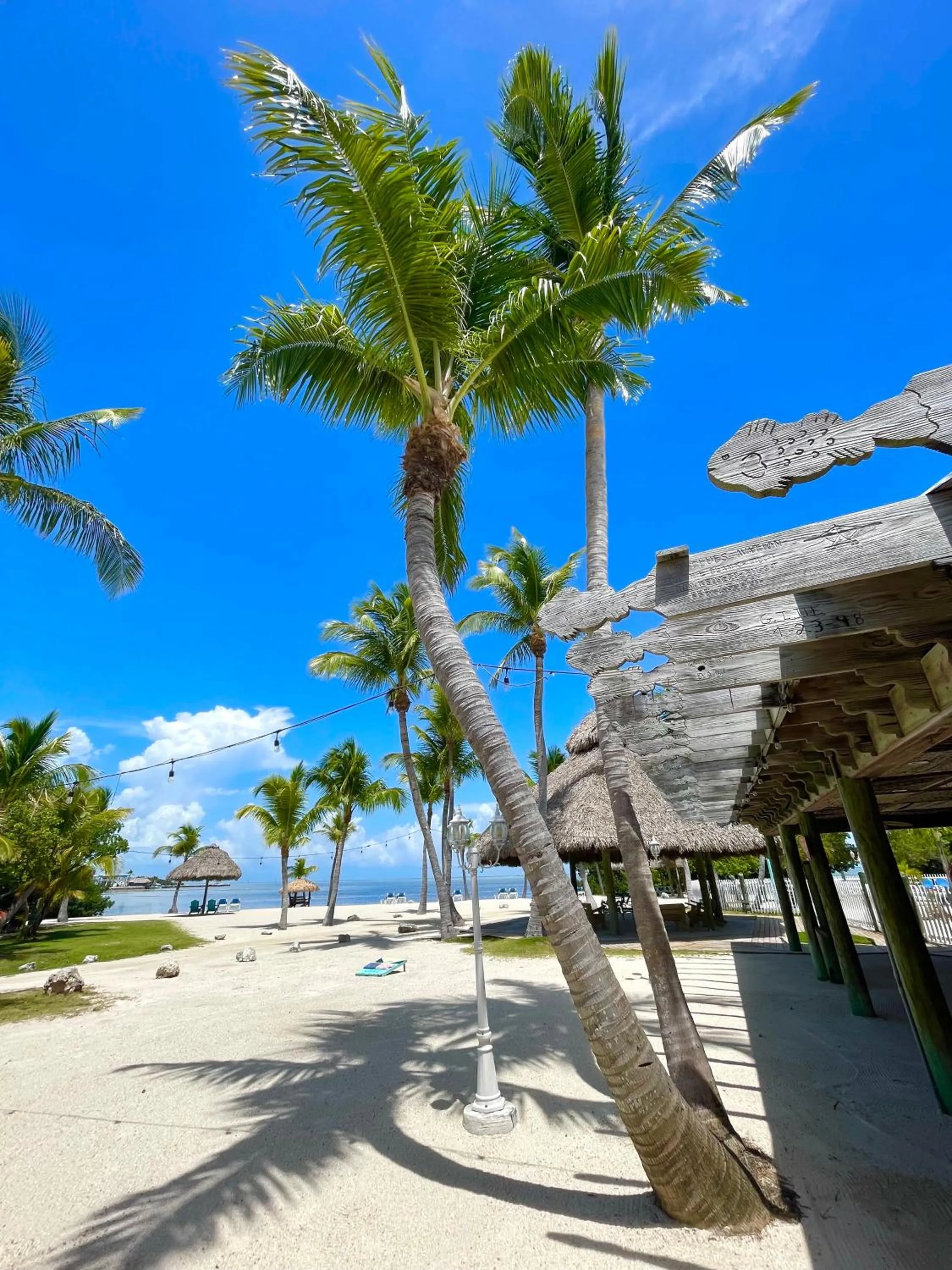 Day in Coconut Cove Resort & Marina