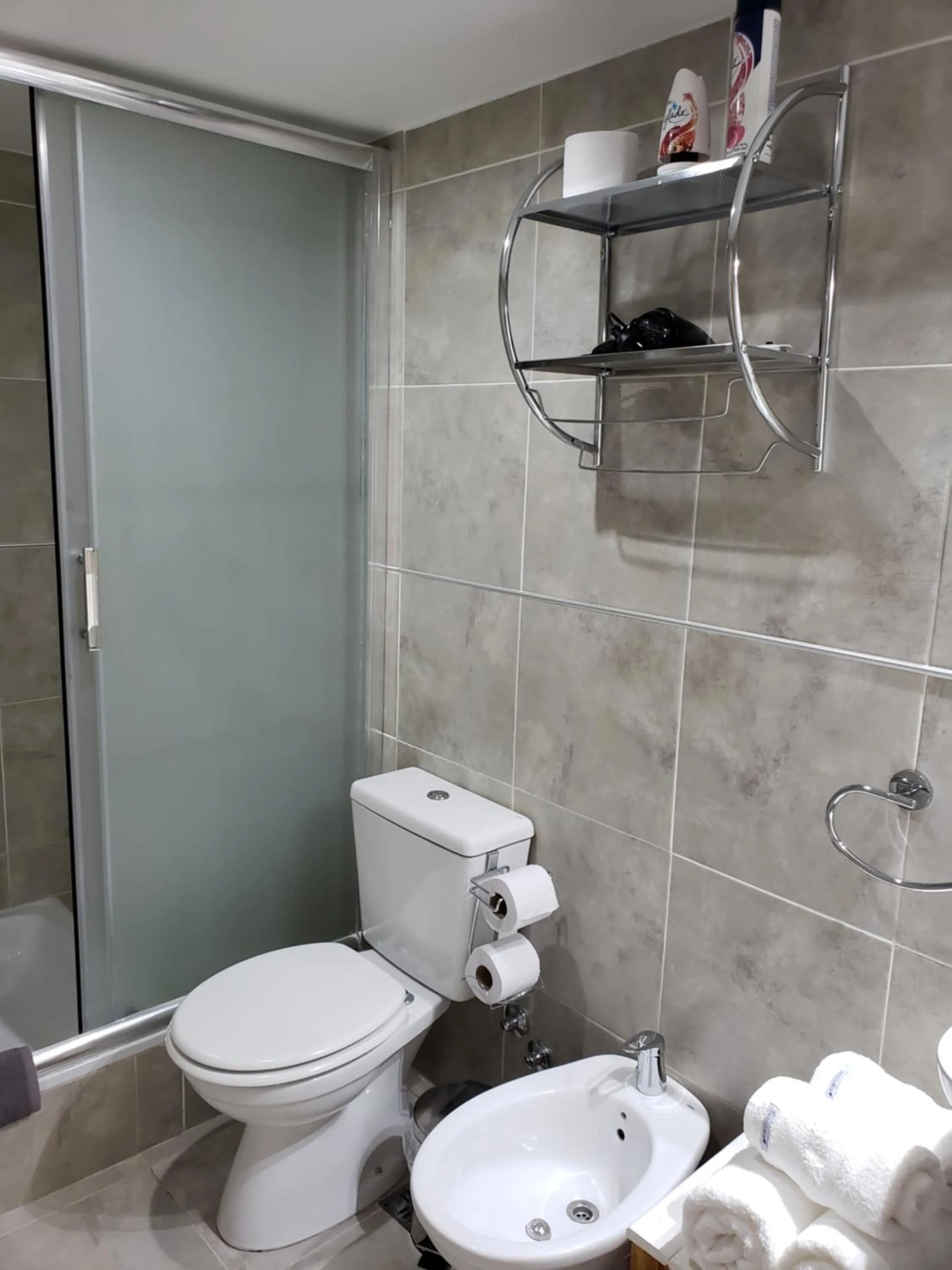 Toilet in Bariloche Apartment