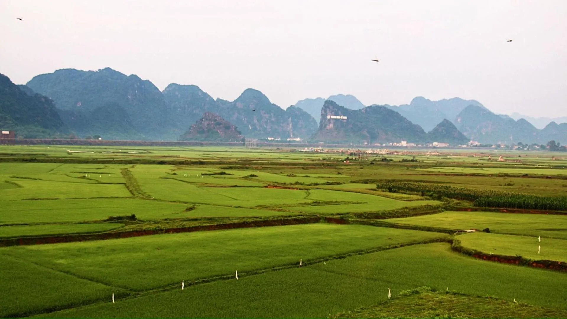 Natural landscape in Karst Villas Phong Nha