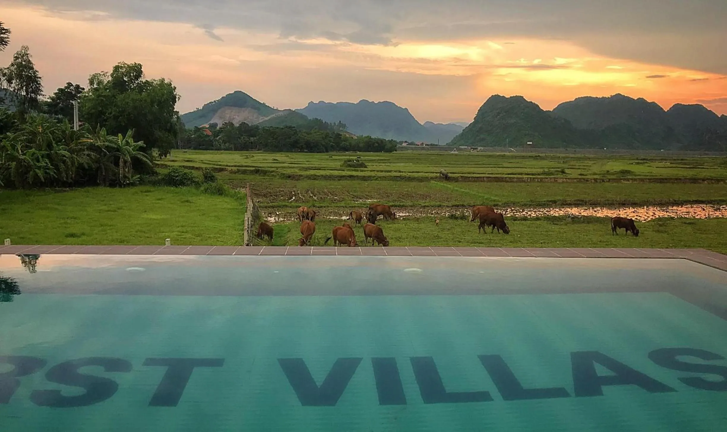 Natural landscape in Karst Villas Phong Nha