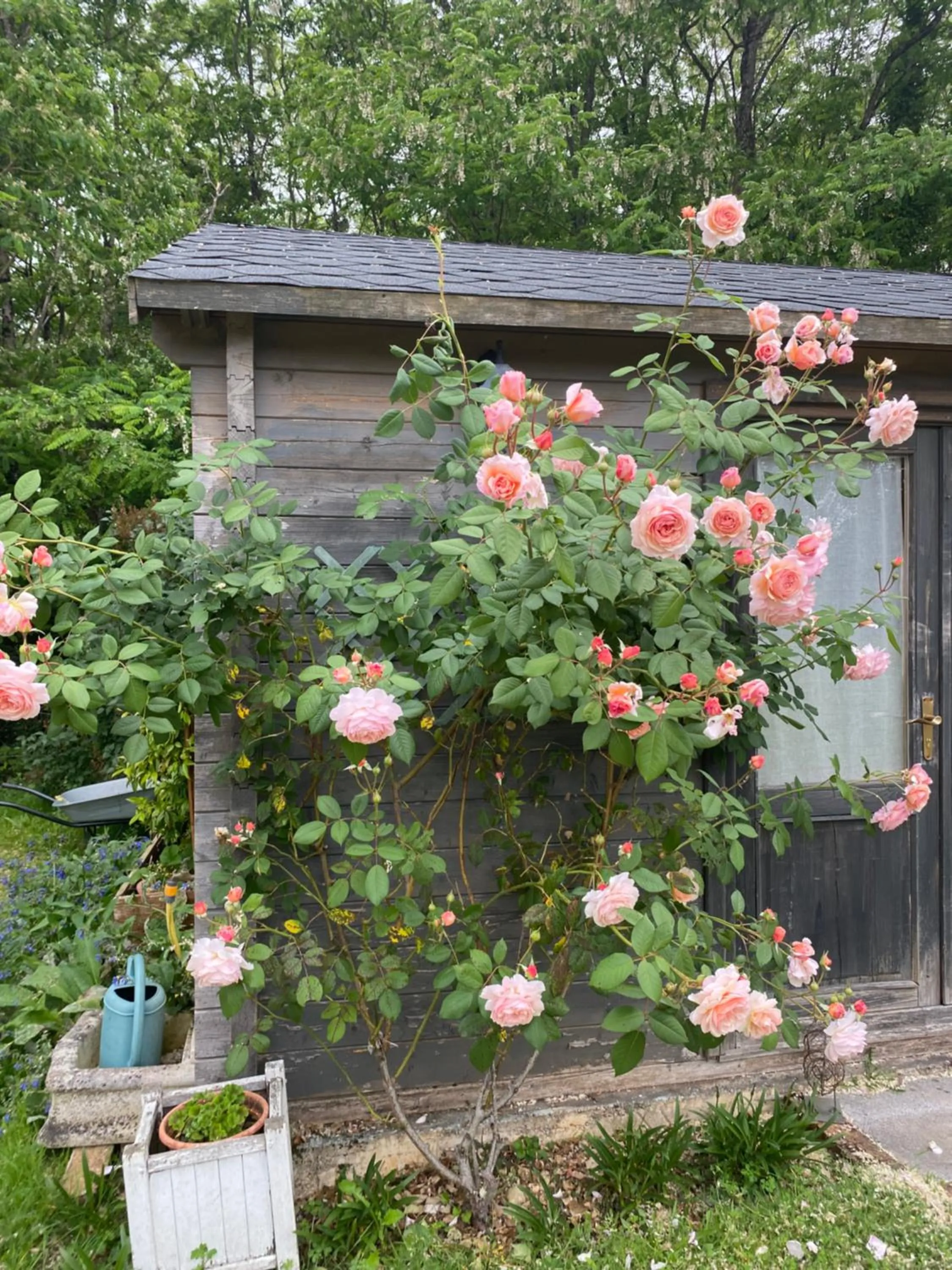 Garden in LE CLOS DU GOLF