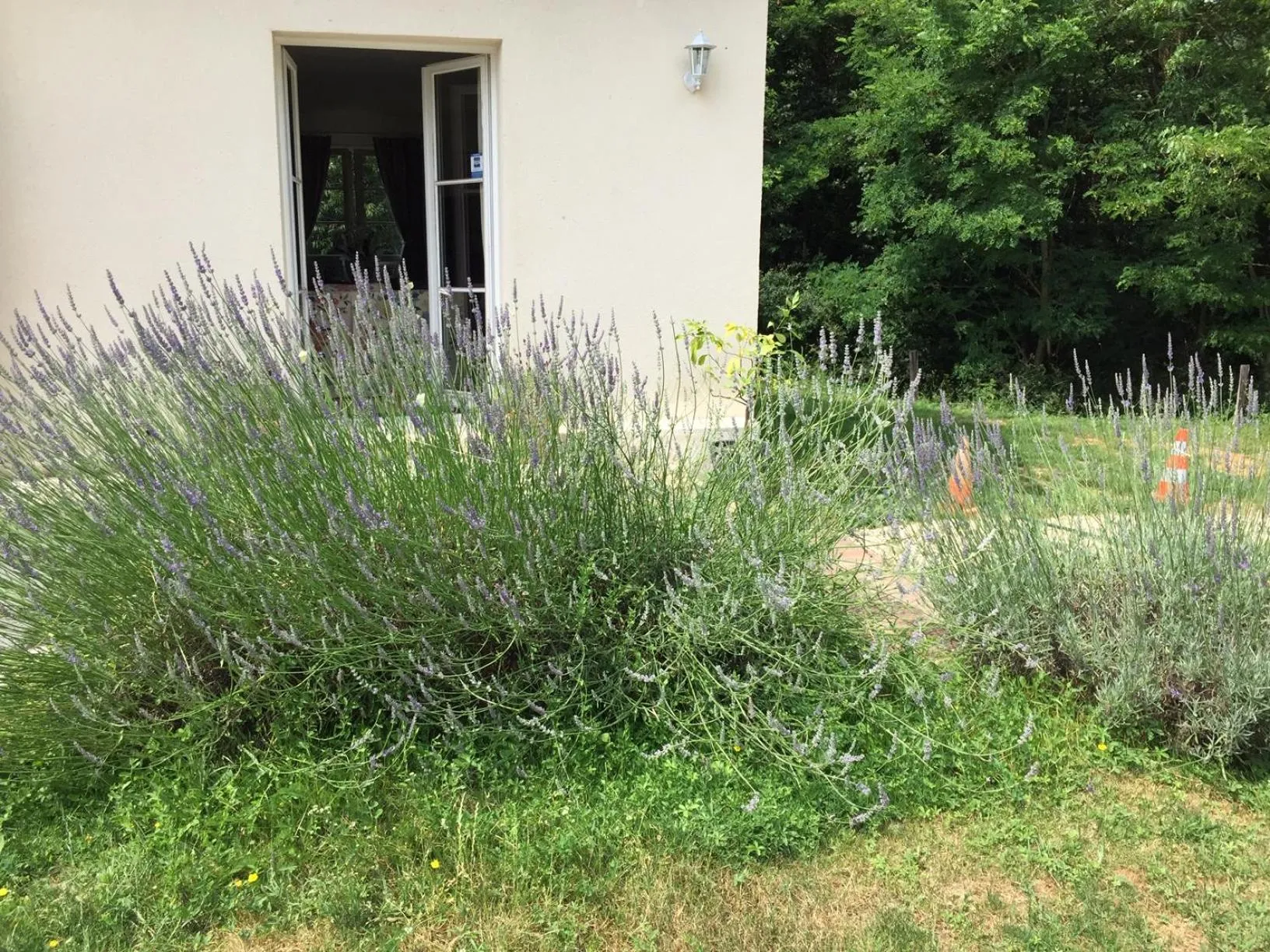 Garden in LE CLOS DU GOLF