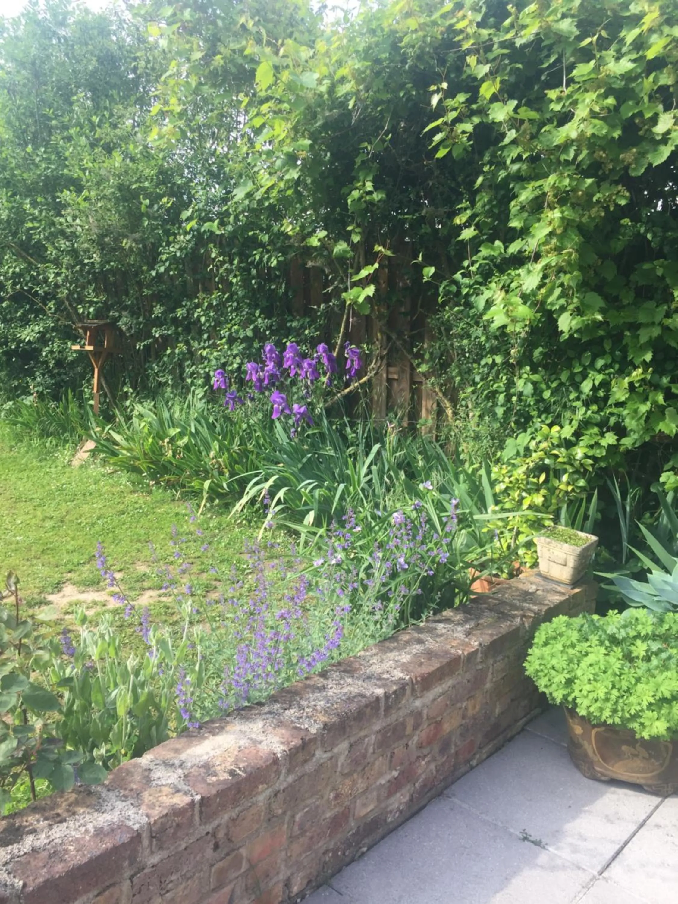 Property building in LE CLOS DU GOLF