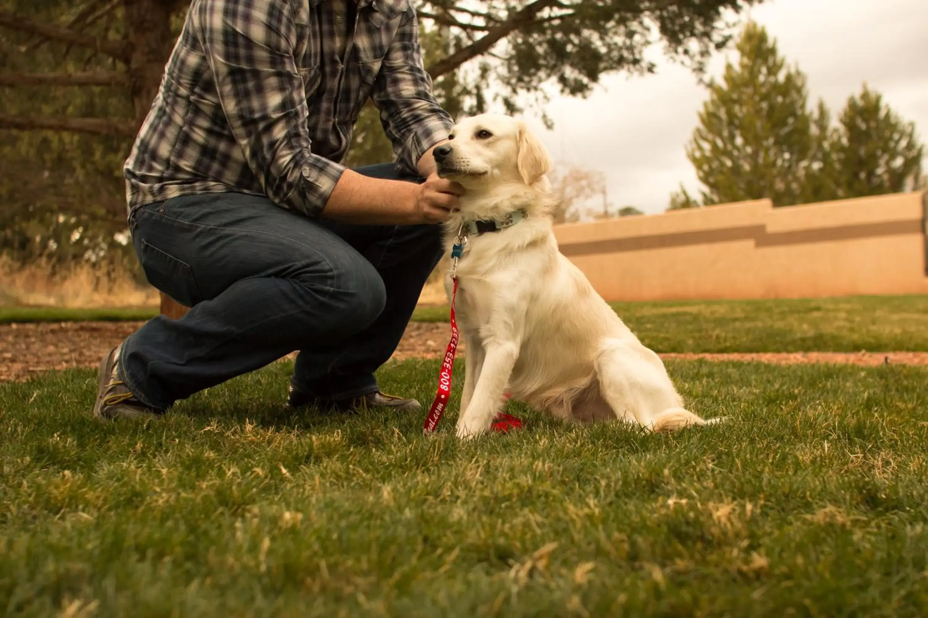 Mountain Modern Resort Sedona Mountain Modern Resort Sedona