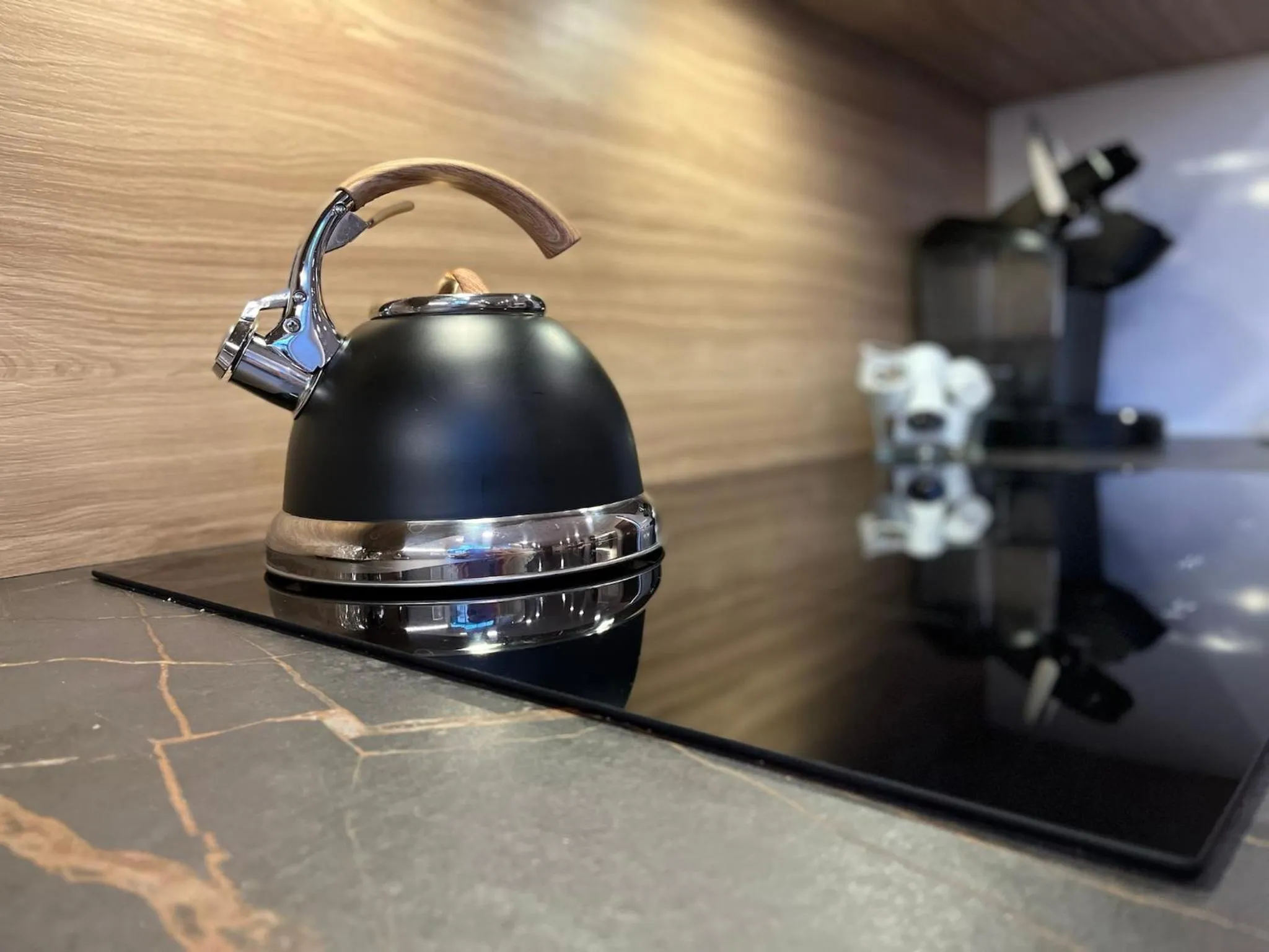 stove in Grandview Gardens