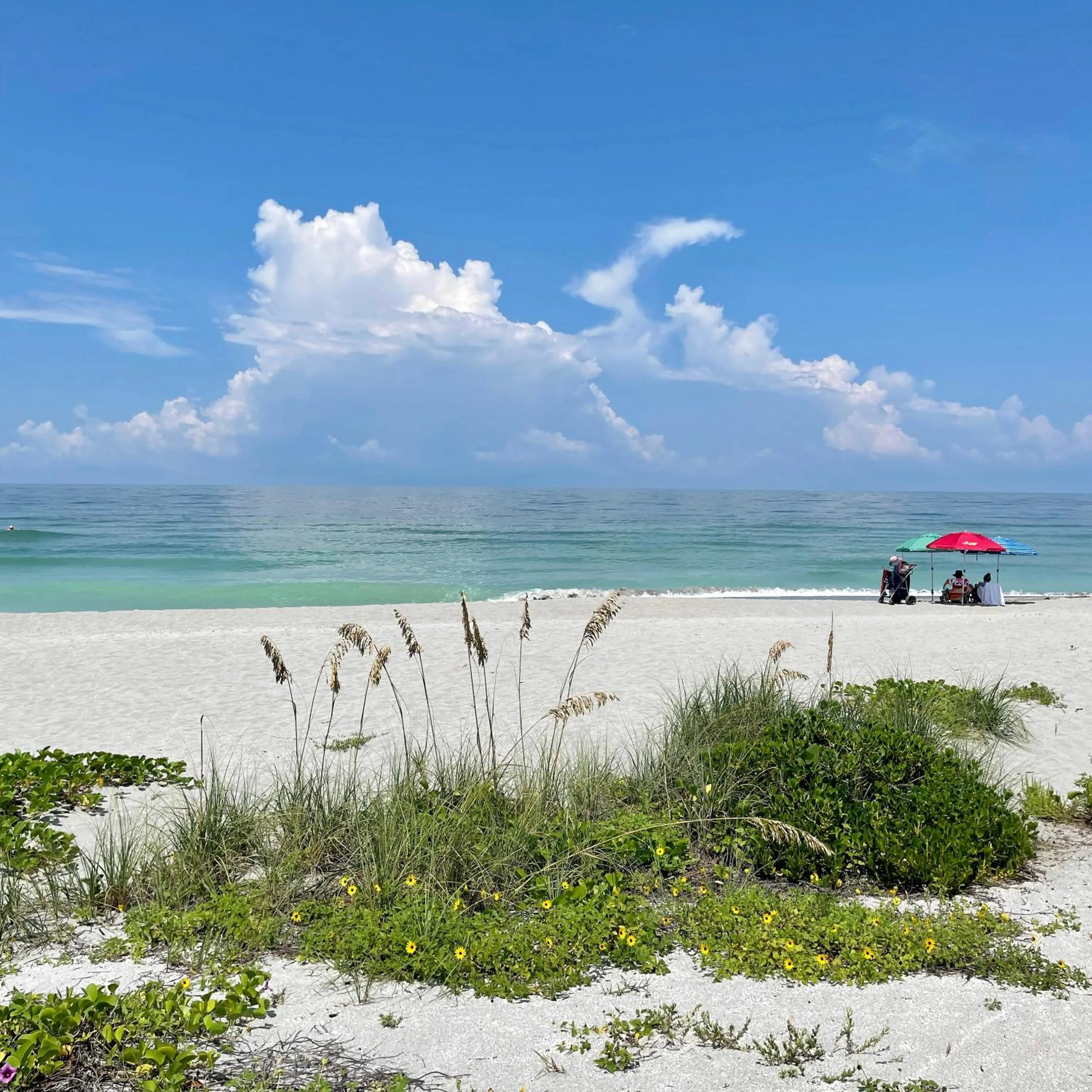 Nearby landmark in Turtle Beach Resort