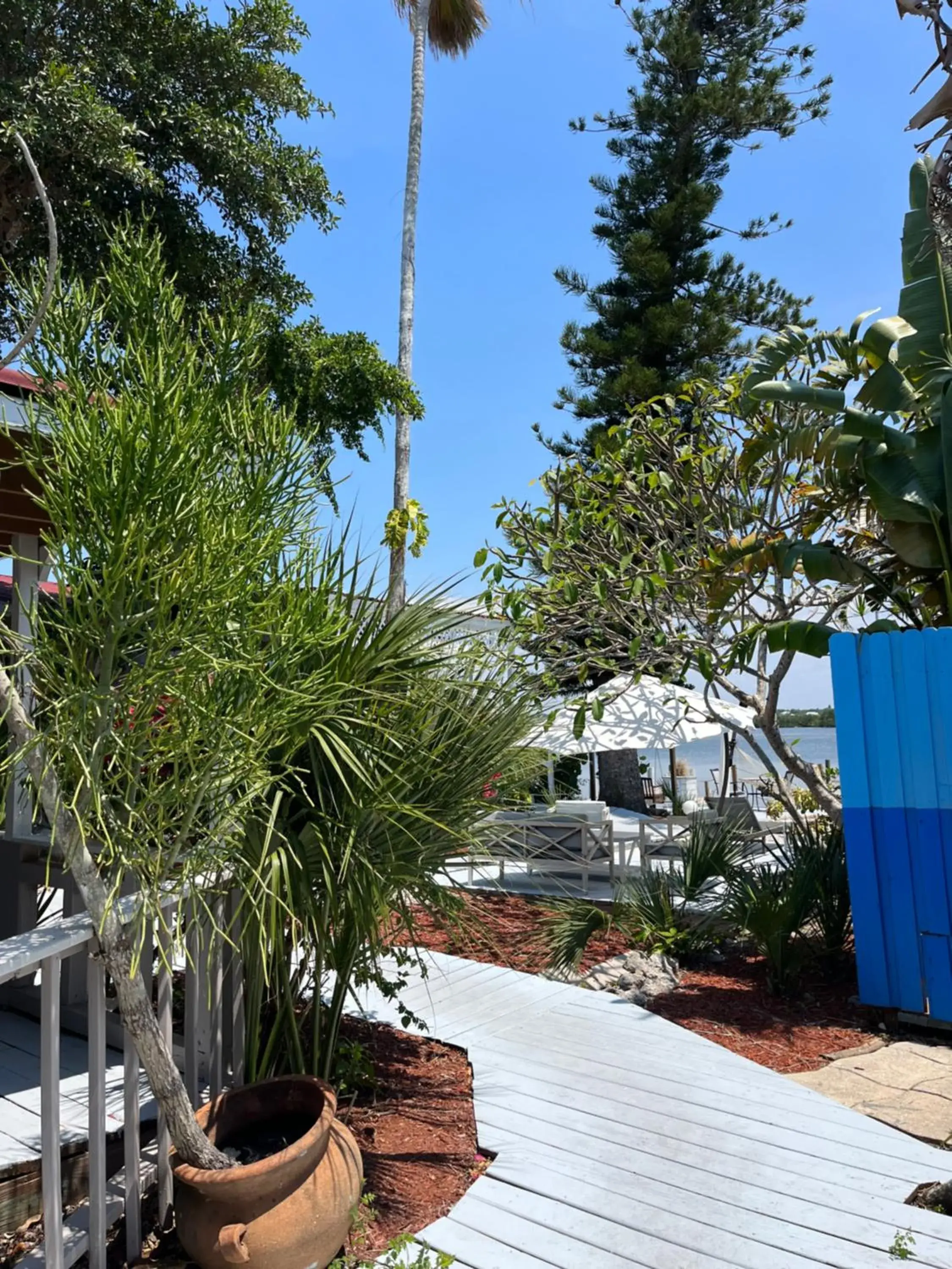 Garden view in Turtle Beach Resort Garden view in Turtle Beach Resort