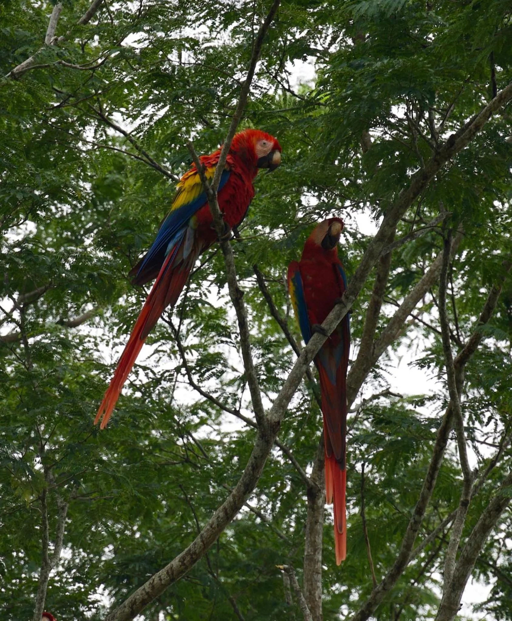 Garden in Cabinas D’Val