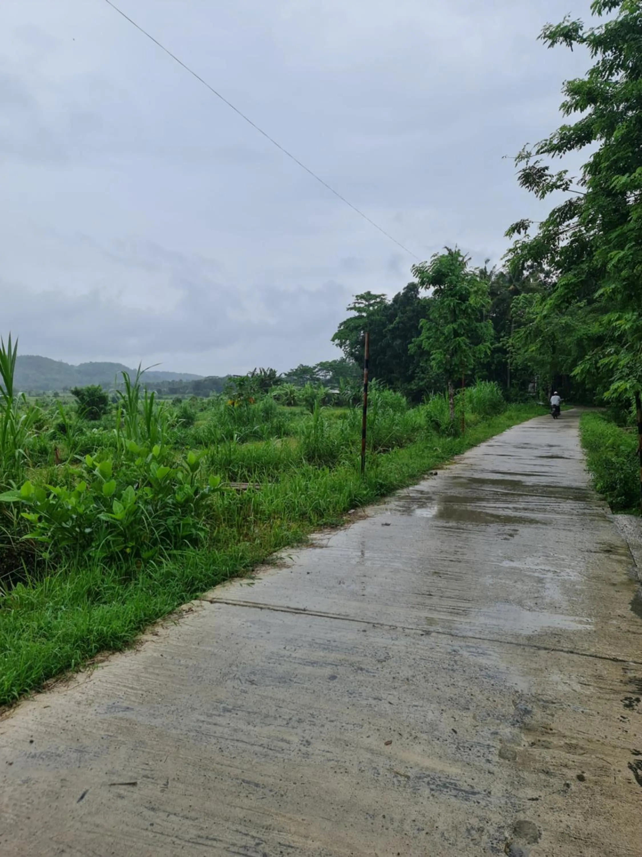 Villa Kayu Yogyakarta