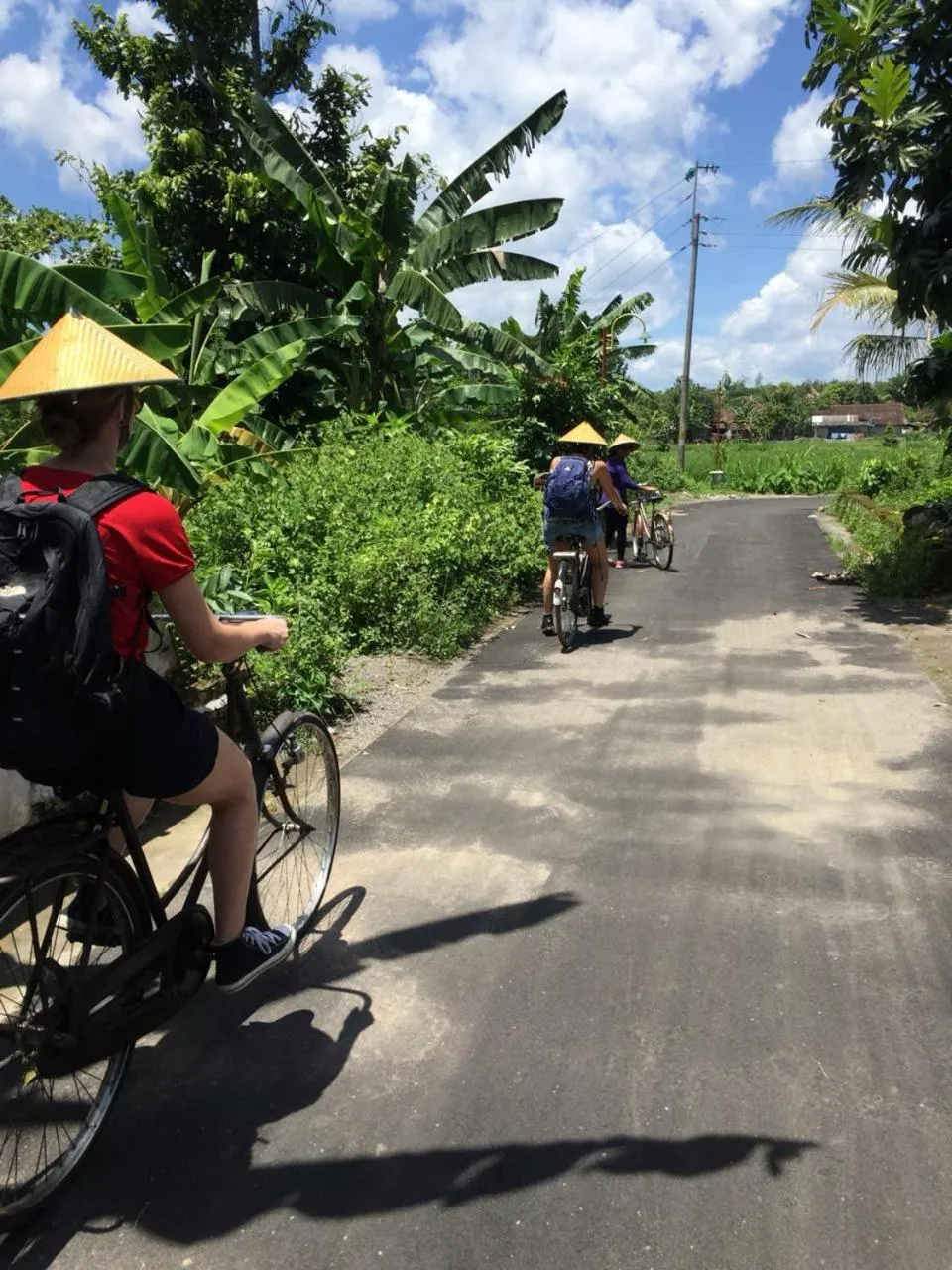 Villa Kayu Yogyakarta