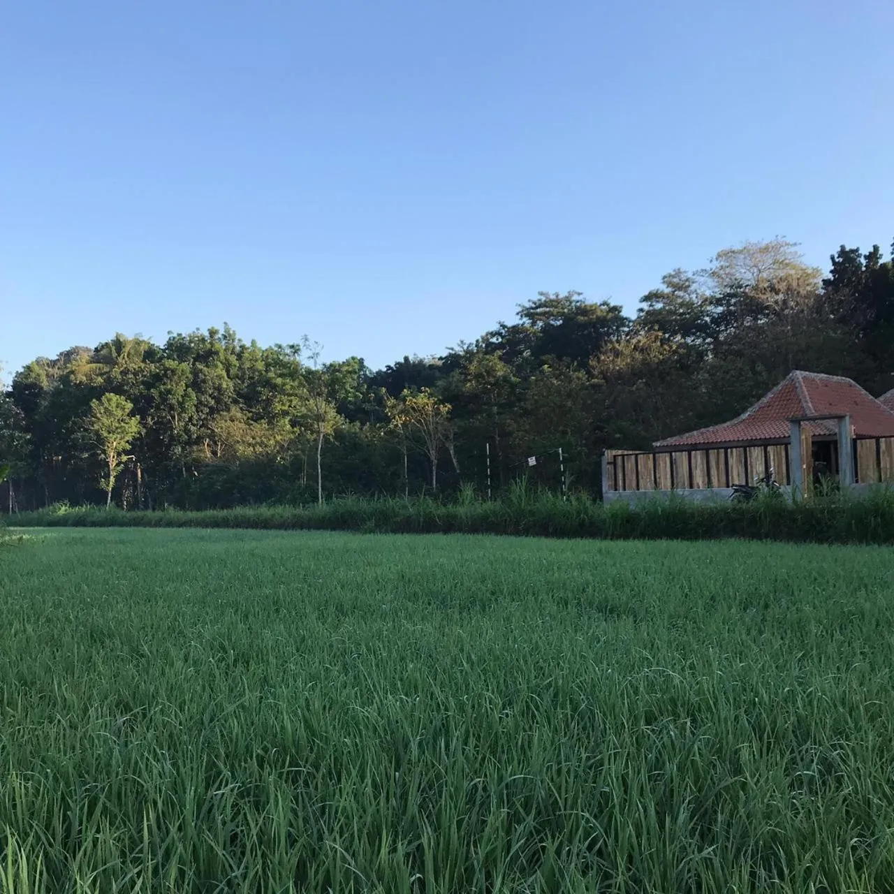 Villa Kayu Yogyakarta